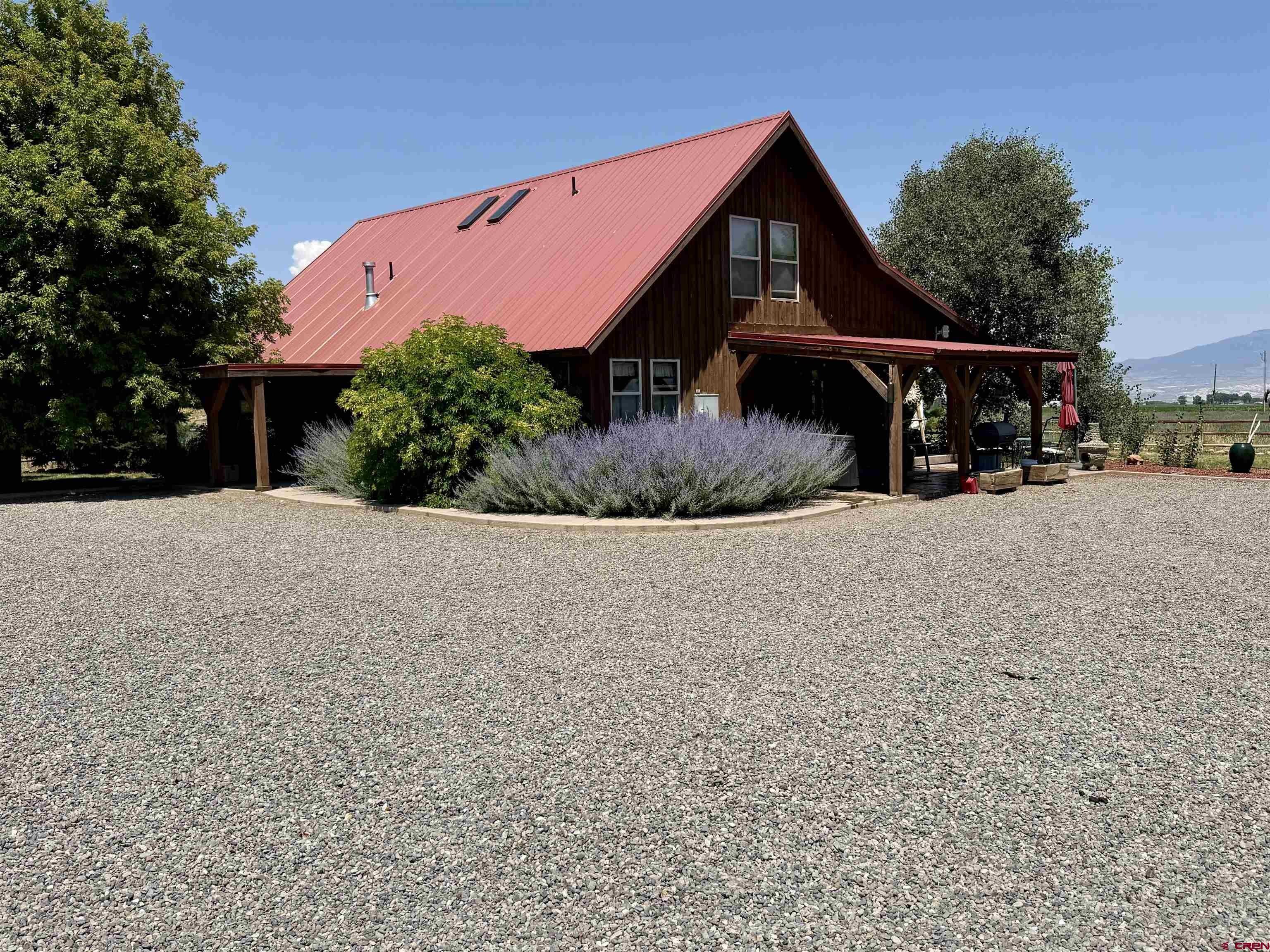 52494 Carnation