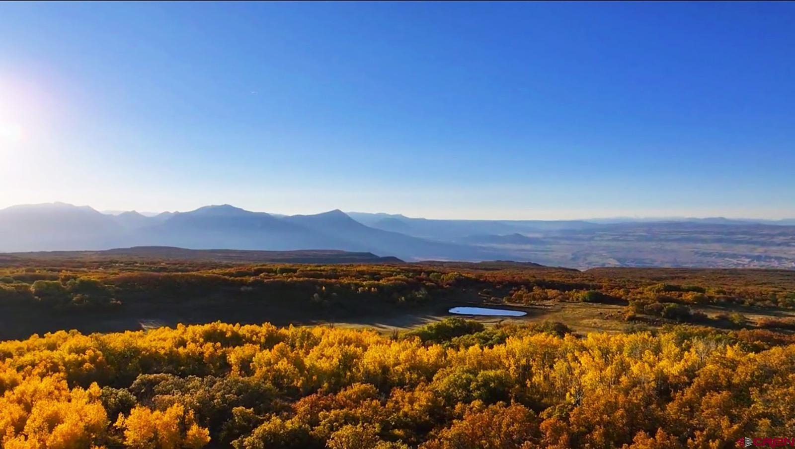 33339 Oak Mesa