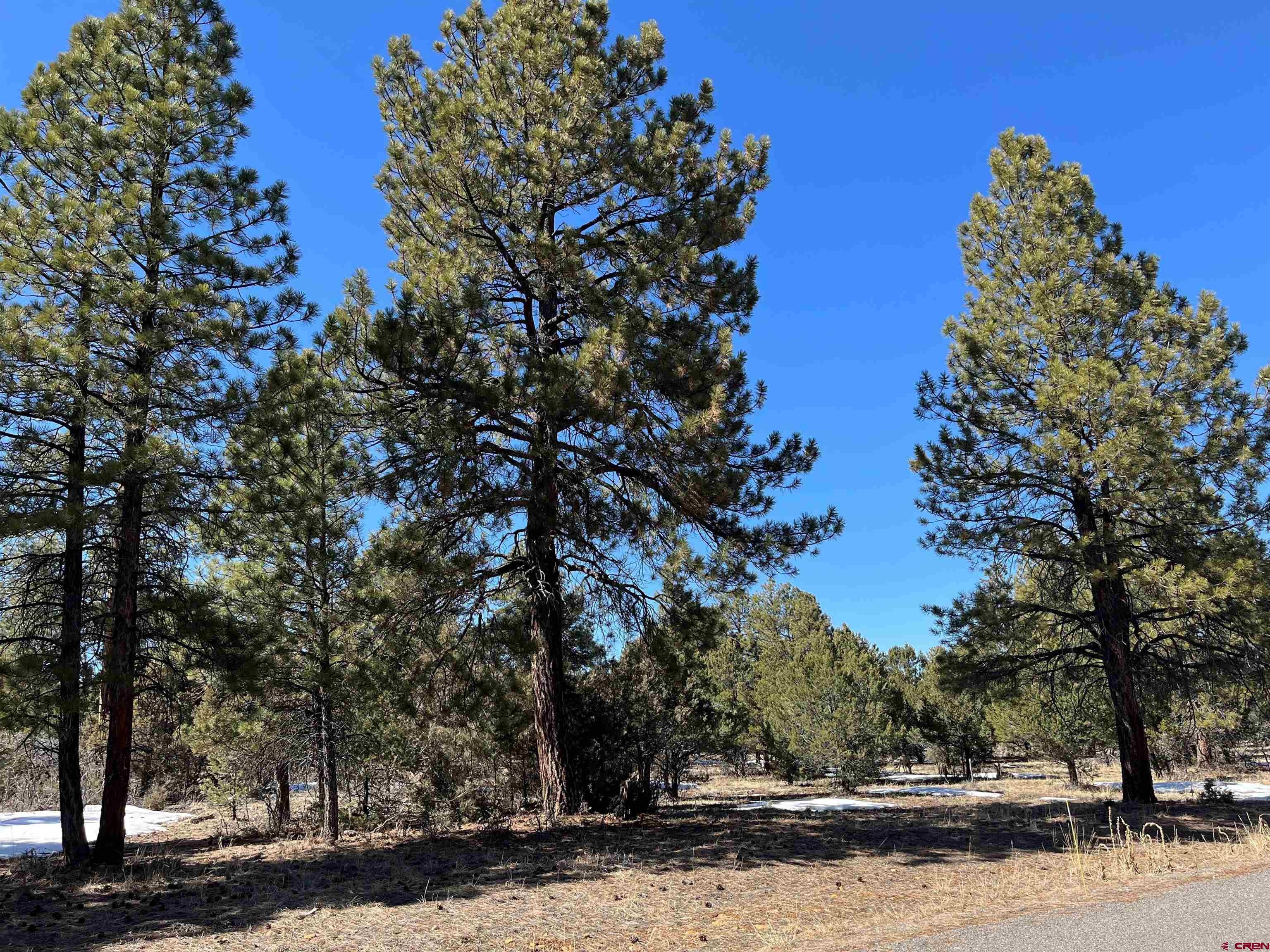 TBD Badger Trail South