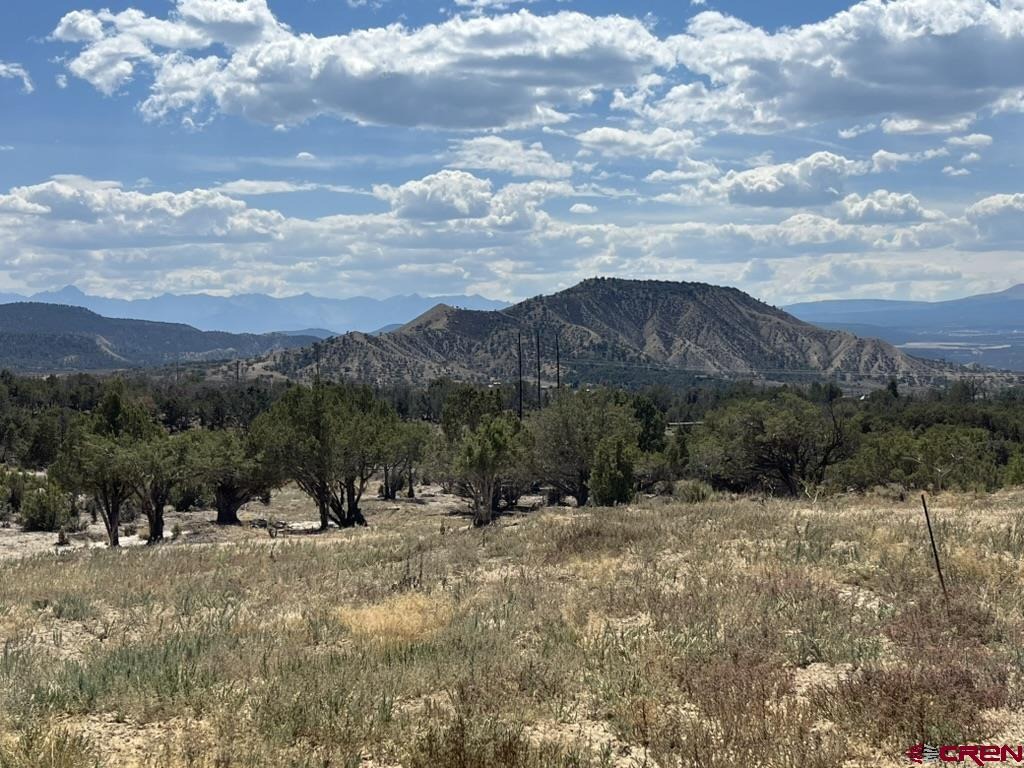 TBD Buckhorn