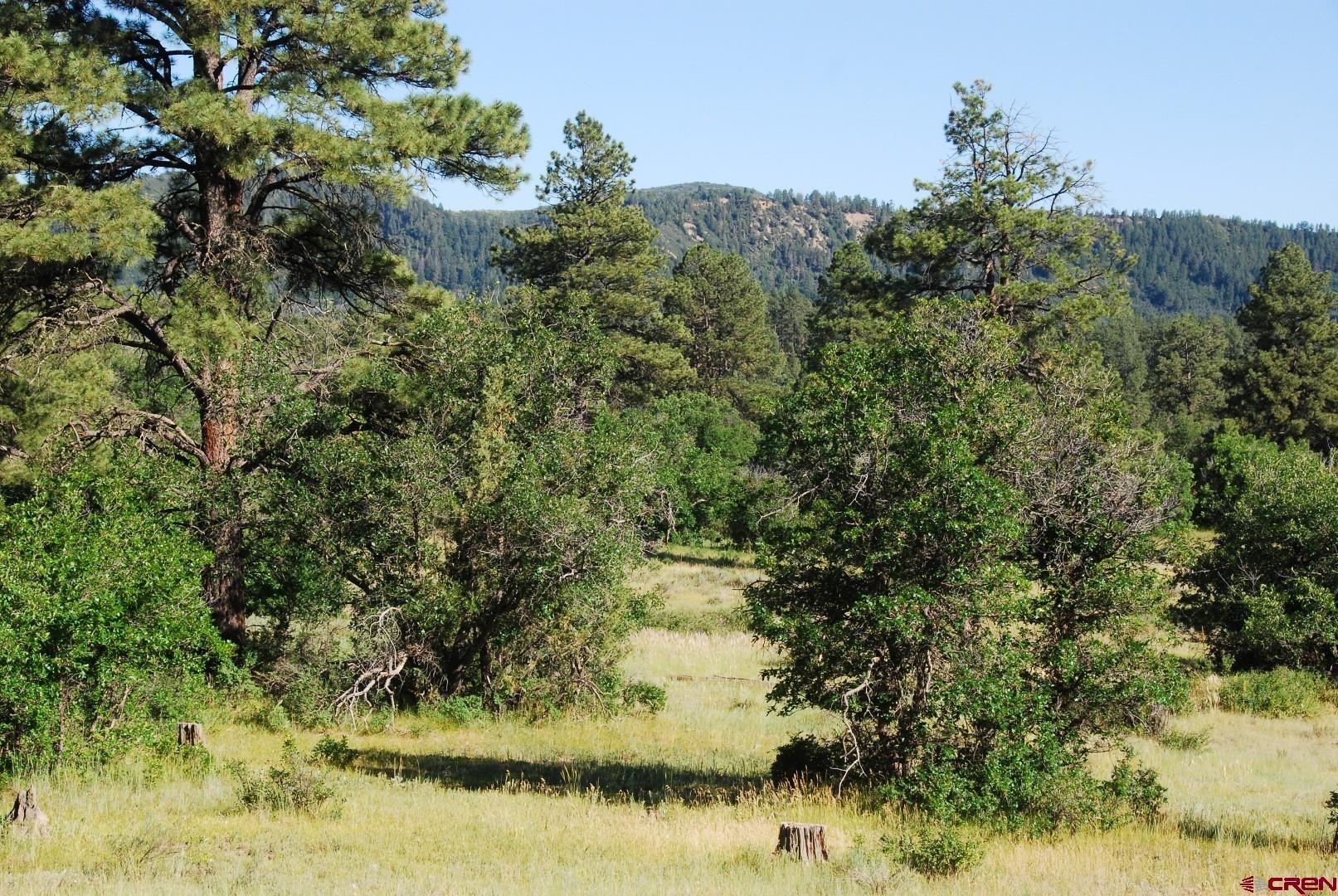 X US Hwy 84 #116