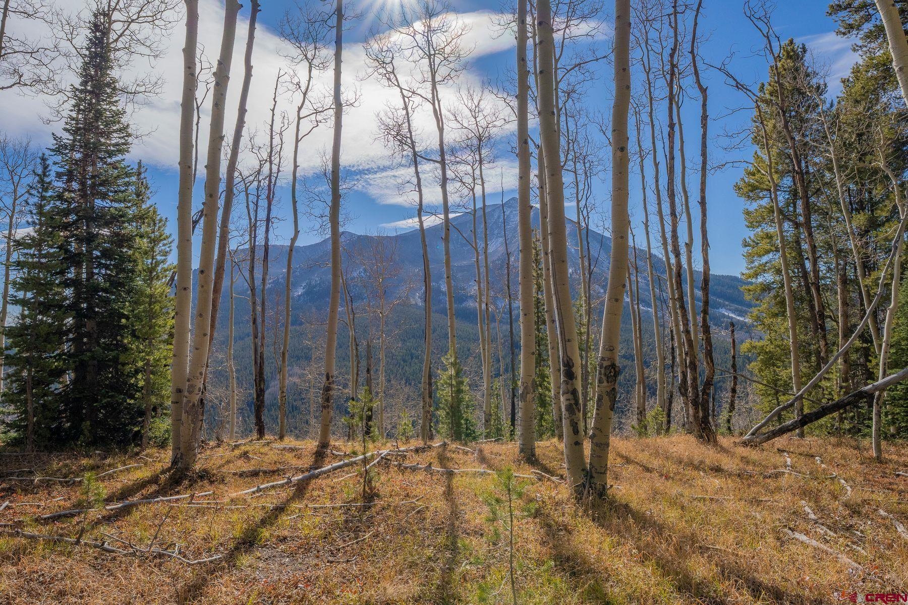 980 Saddle Ridge