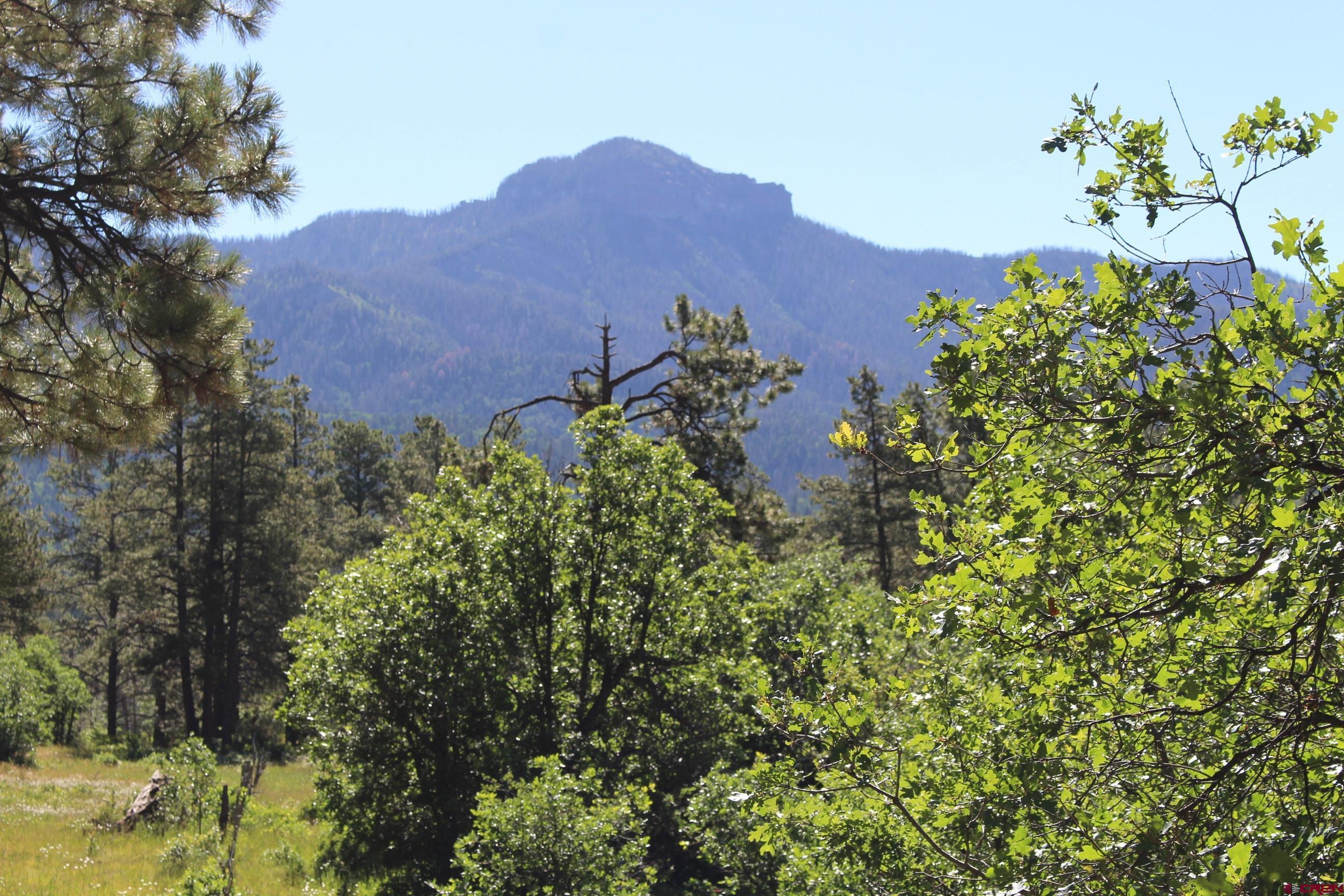 1422 Needles View