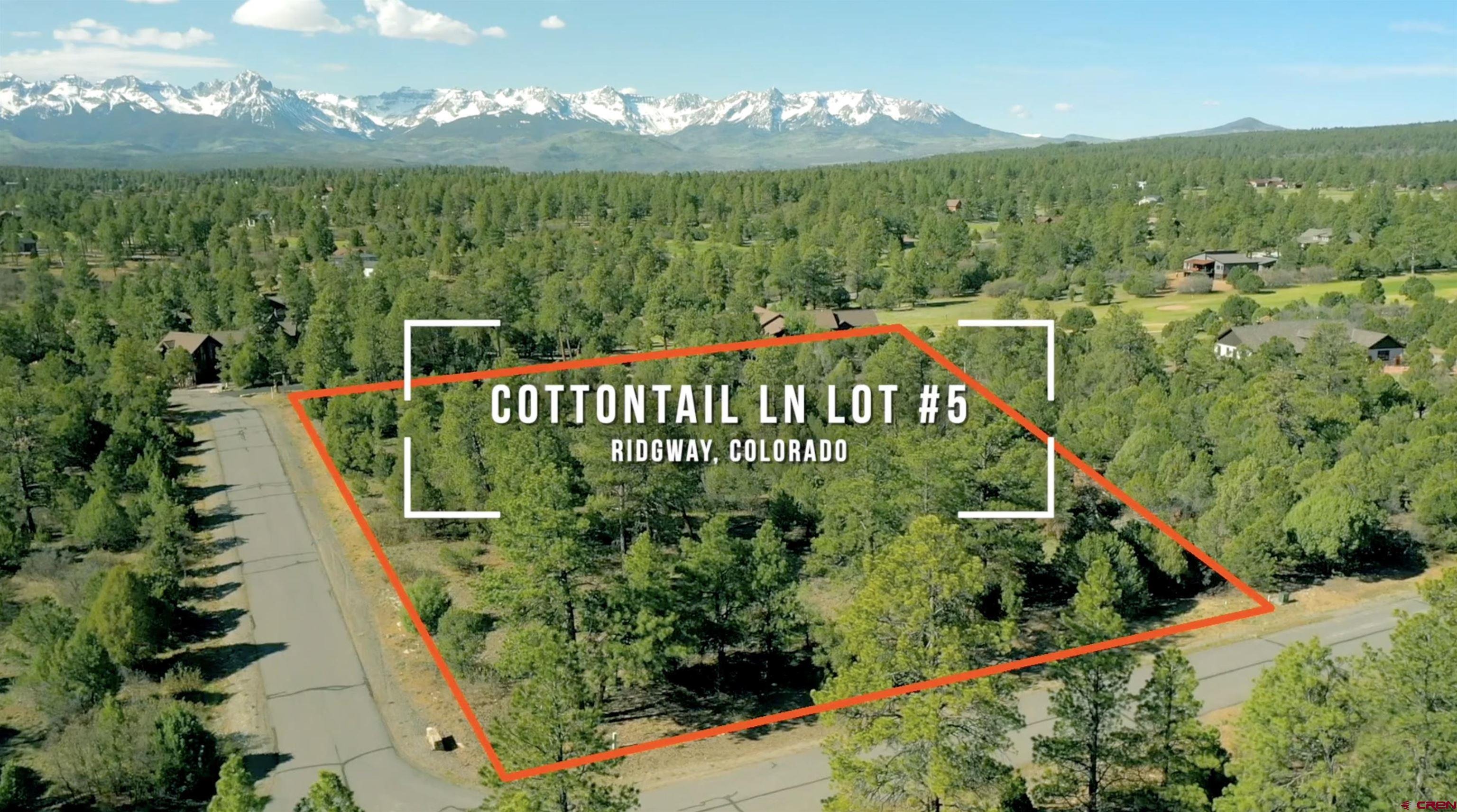 Lot 5 Cottontail