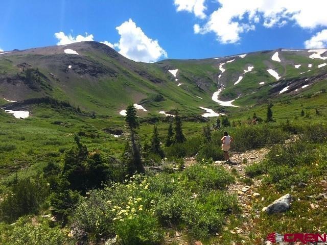 TBD Forest Service 734