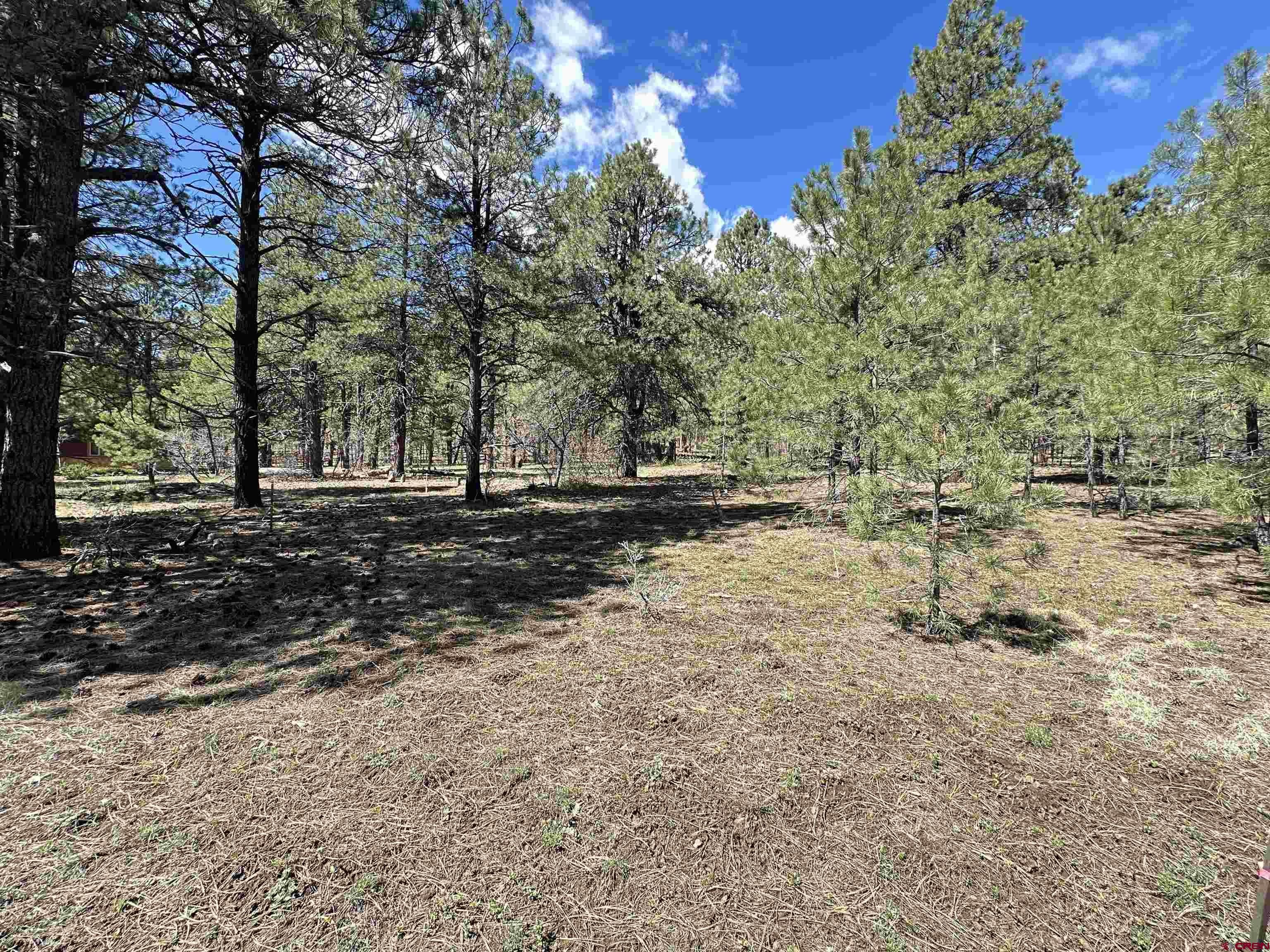 39 W Nebo