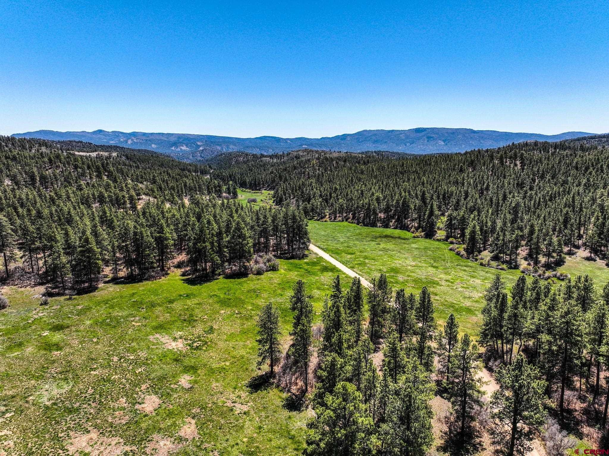 000 County Rd 193