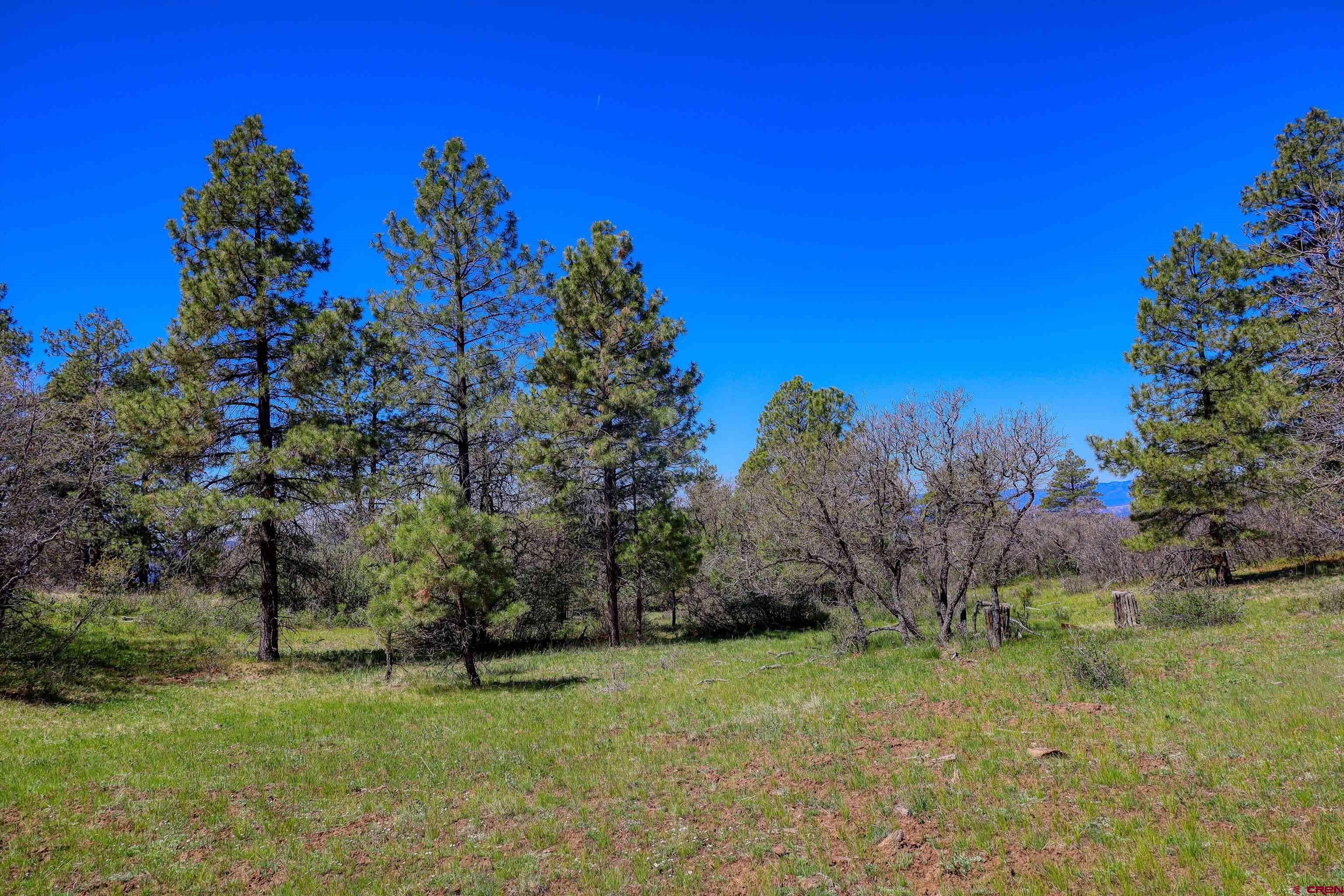 3367 Ranchland