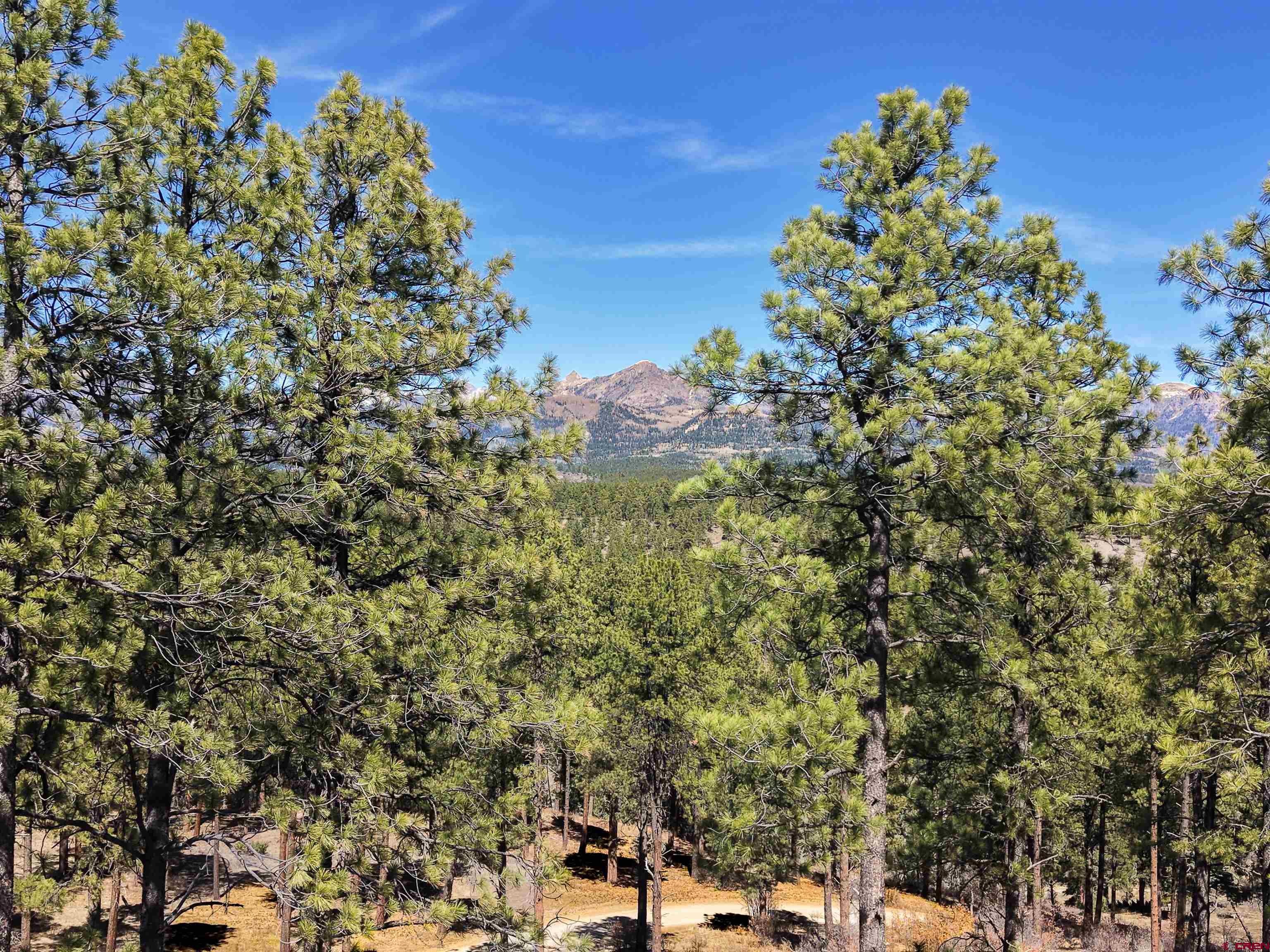 Lot 11 Hidden Valley