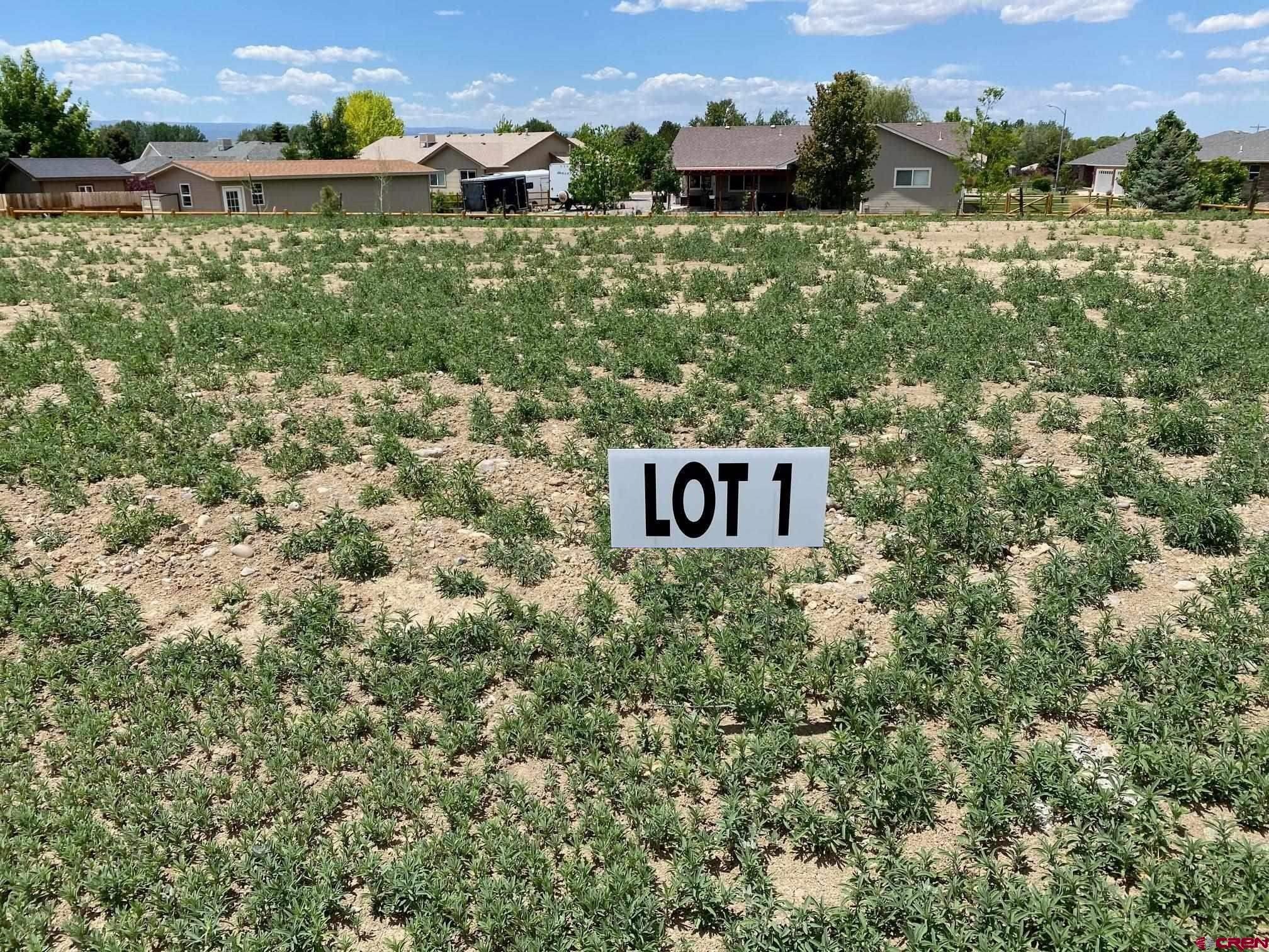 Lot 1 6700