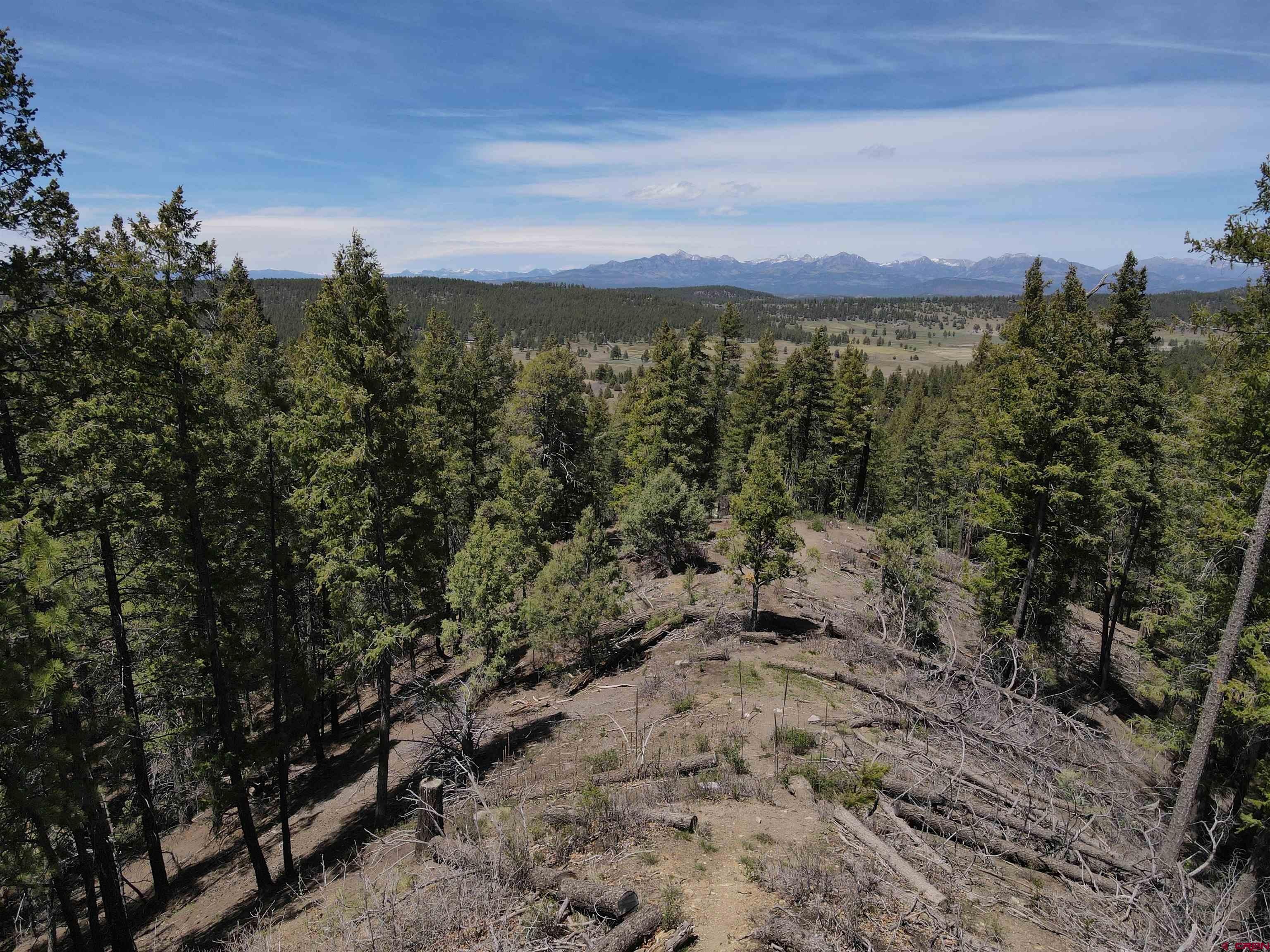 438 Loma Vista