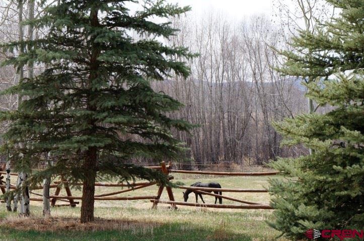 433 Meadow View