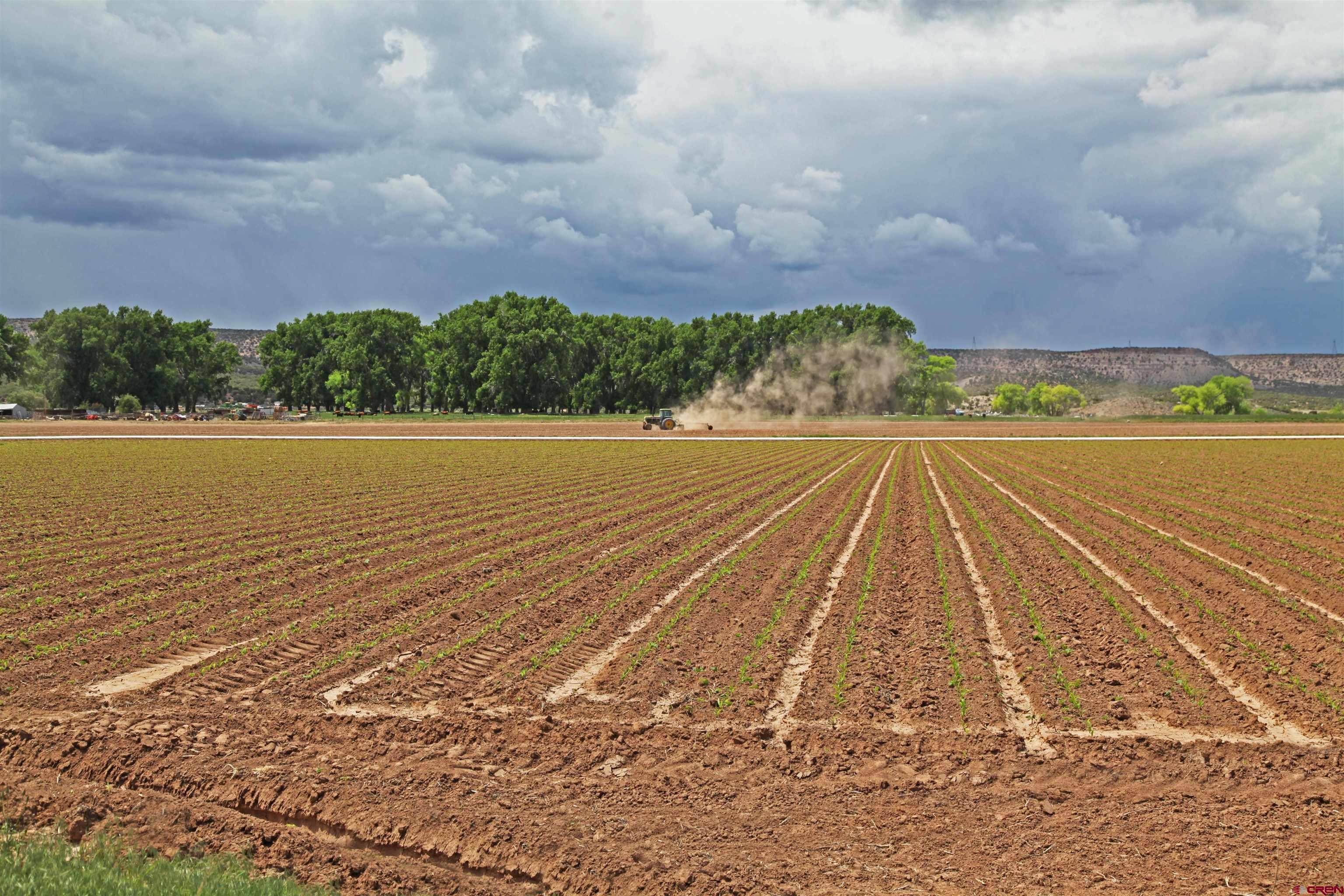 TBD Lot 2 Shavano Valley Rd