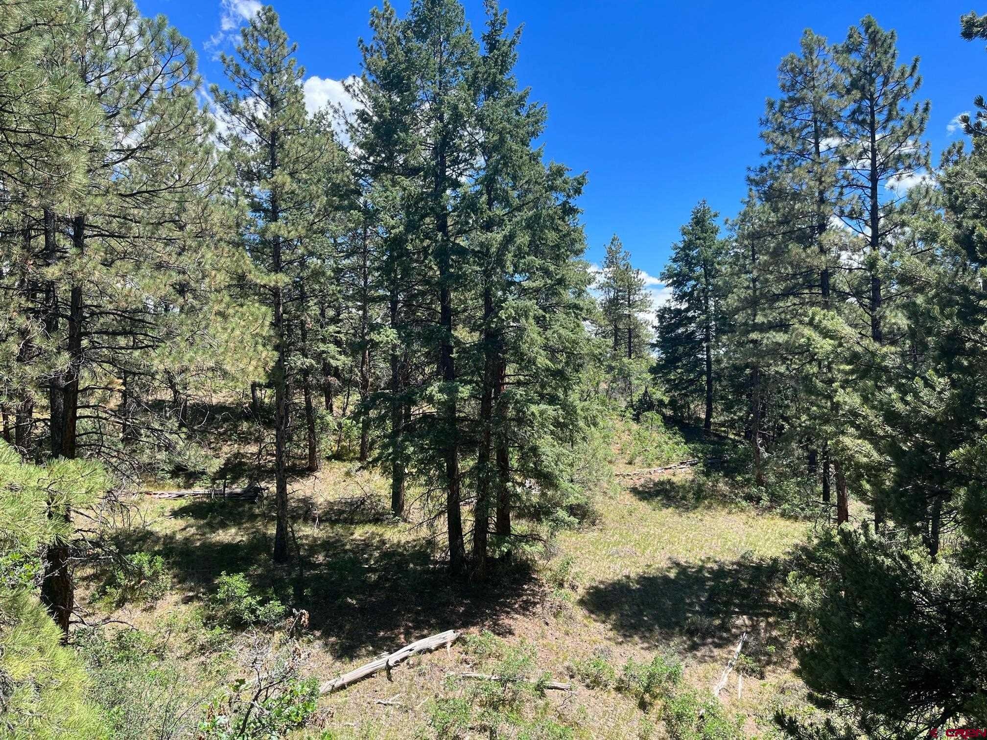 853 Ranchland