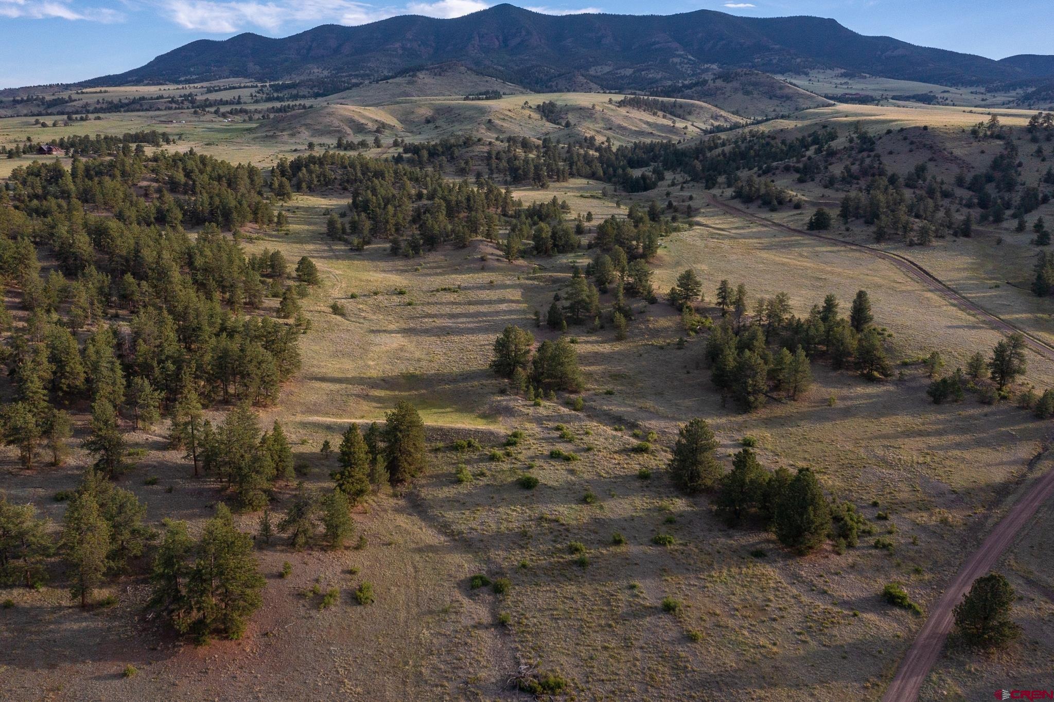 Big Buck Road Ranch
