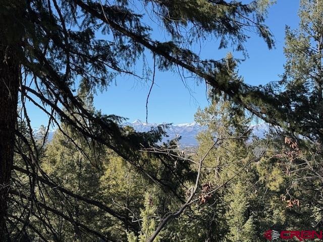 2409 Loma Linda