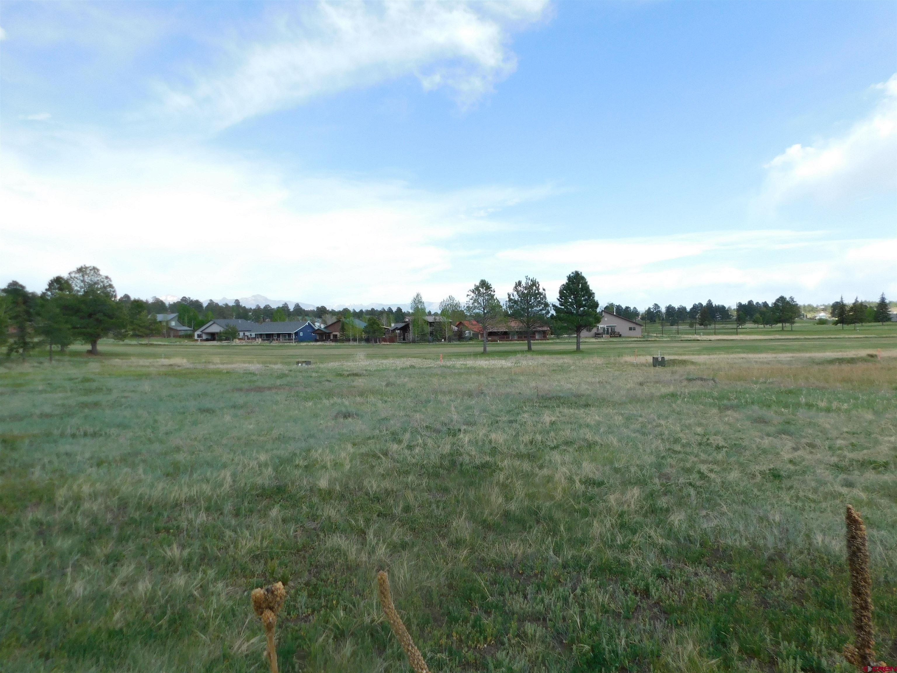 141 Pines Club