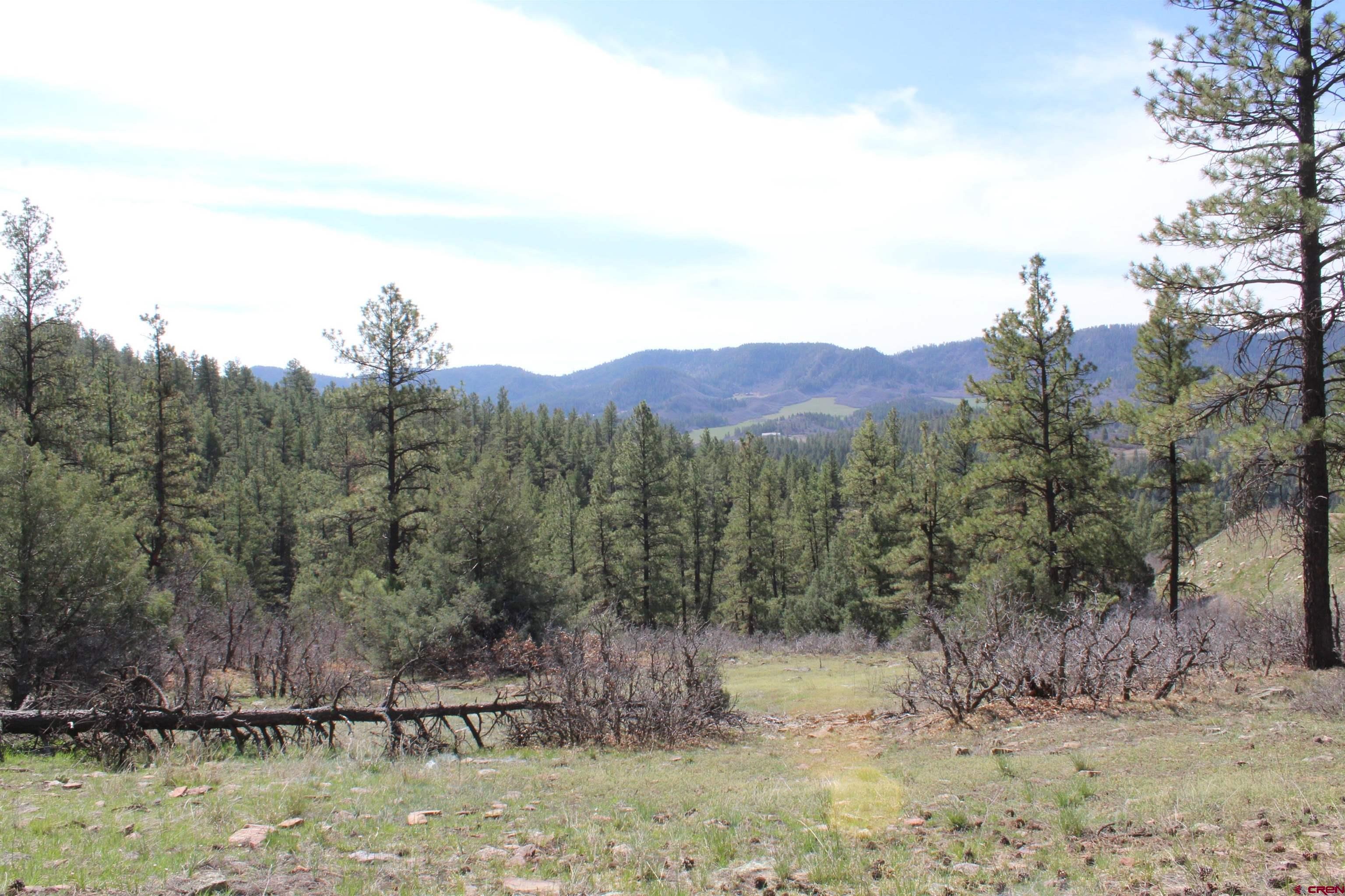 881 Ironwood