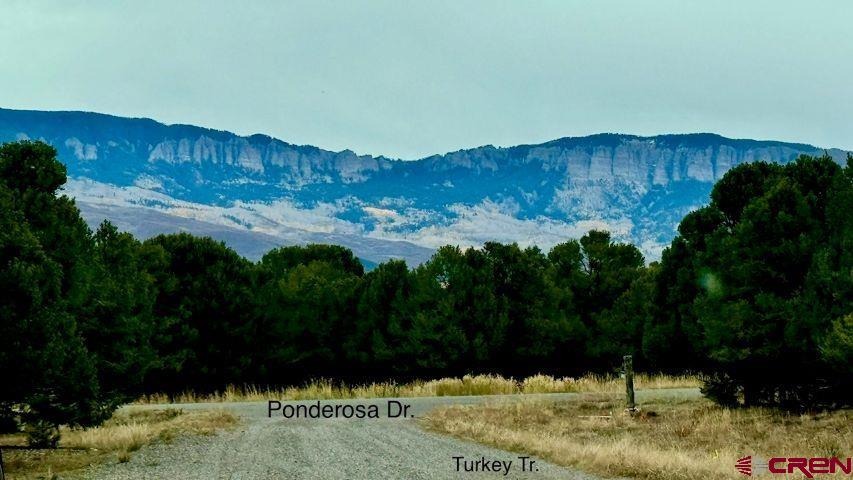 Lot 13G Ponderosa