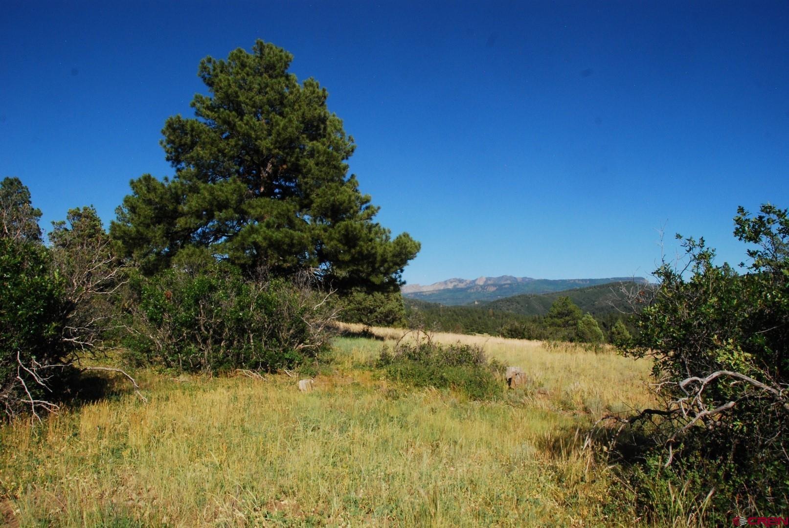 X US Hwy 84 #114