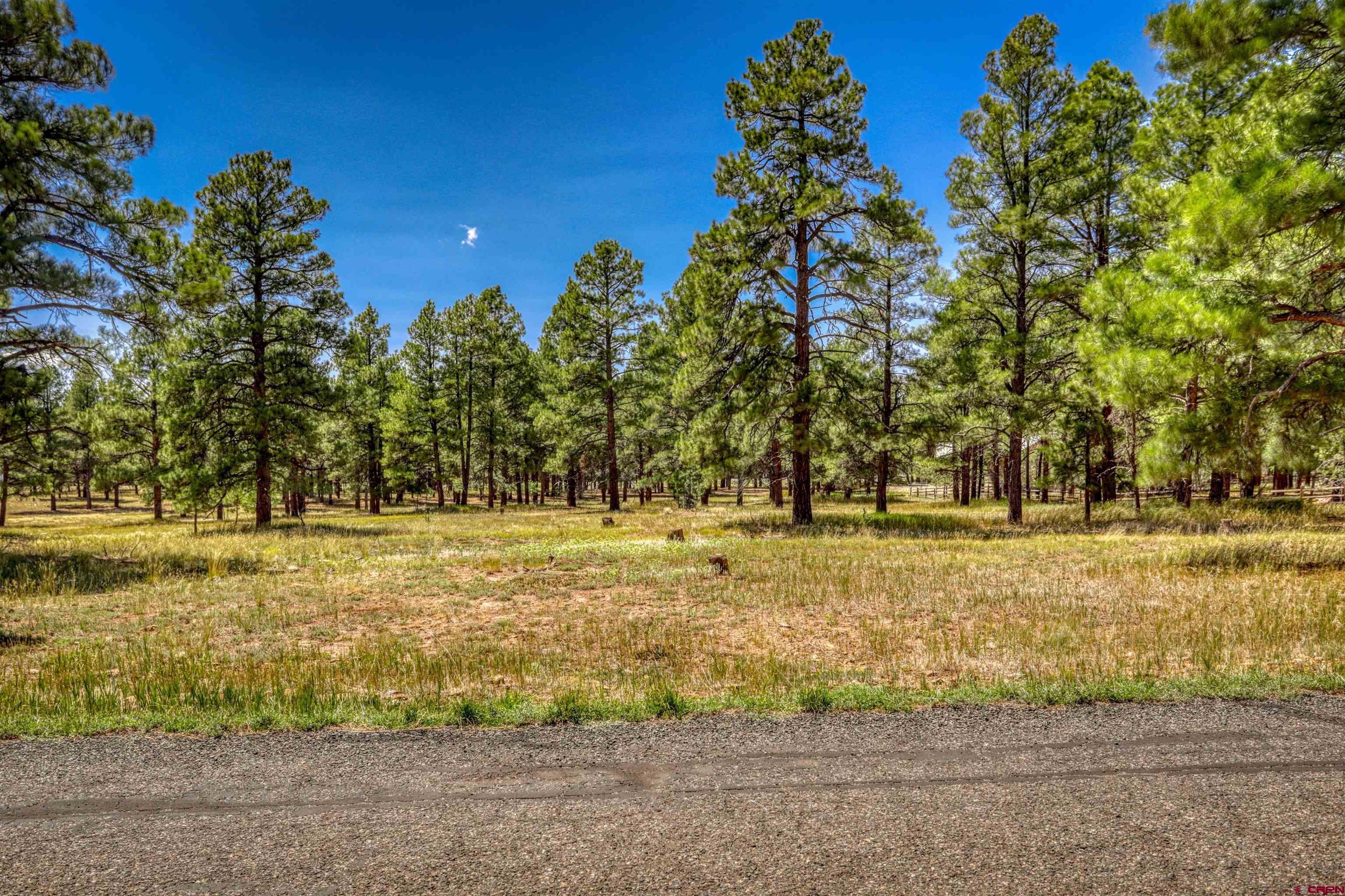 86 Hackamore