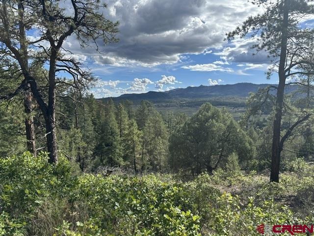70 Rocky Ridge 1