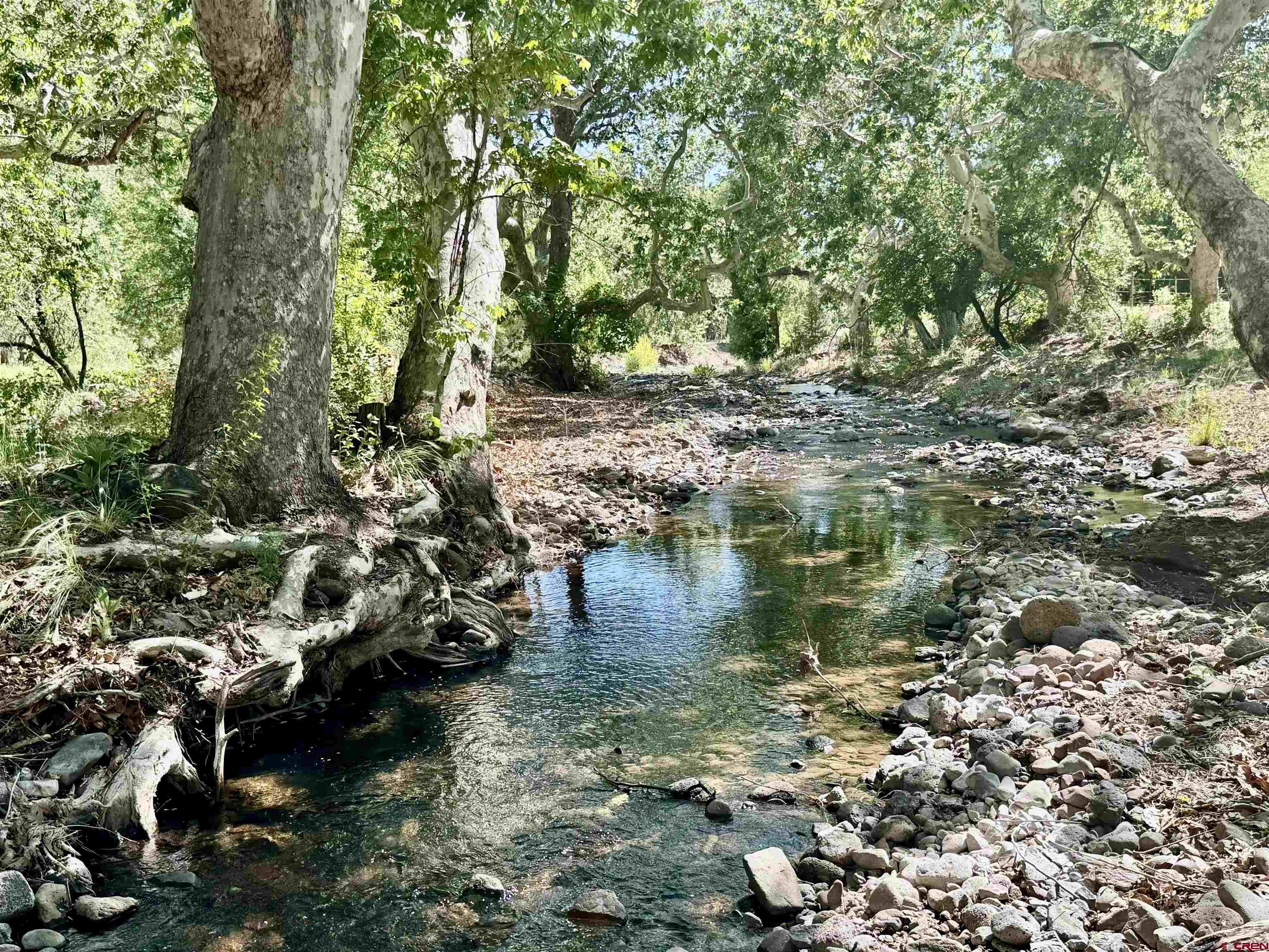 125 Deep Creek Ranch