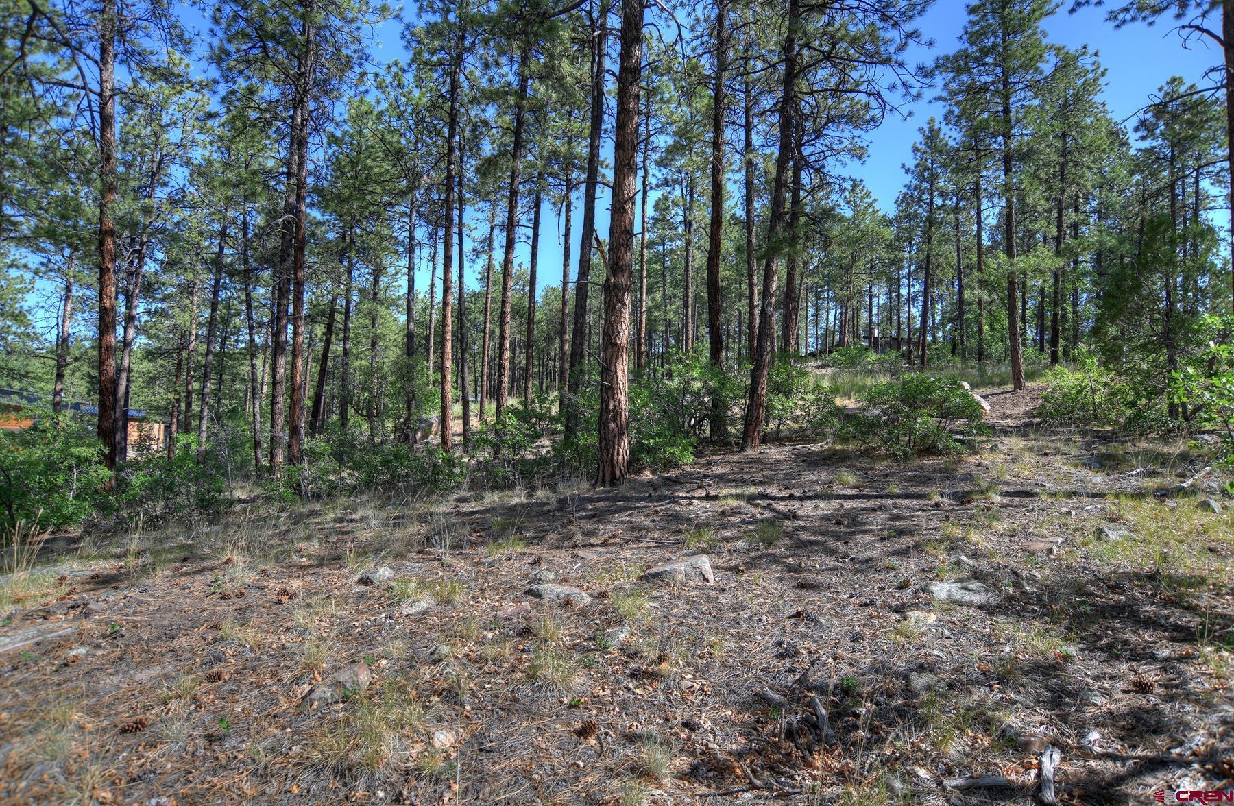 109 Cabin Creek