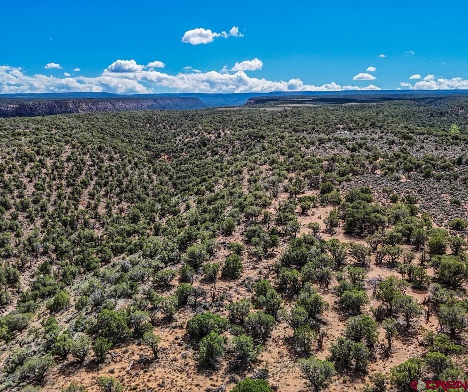TBD Tract 33 Beaver Hill Heights