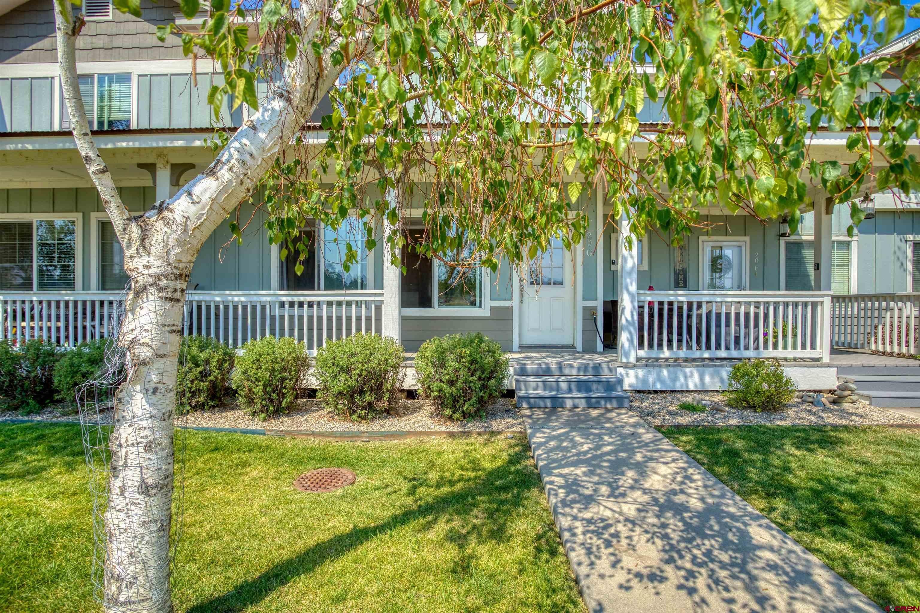 20 Timberline