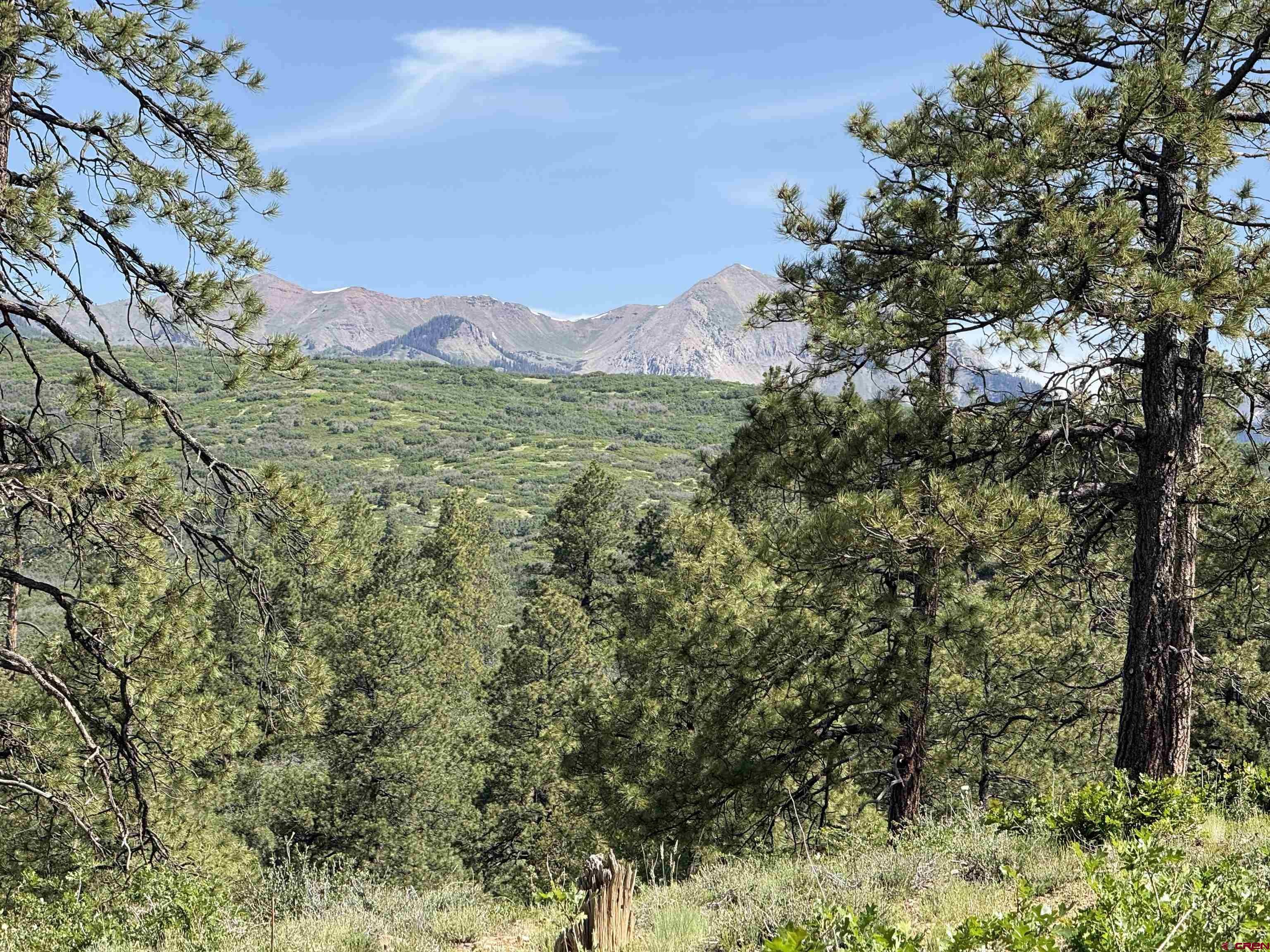 1649 Sheep Springs