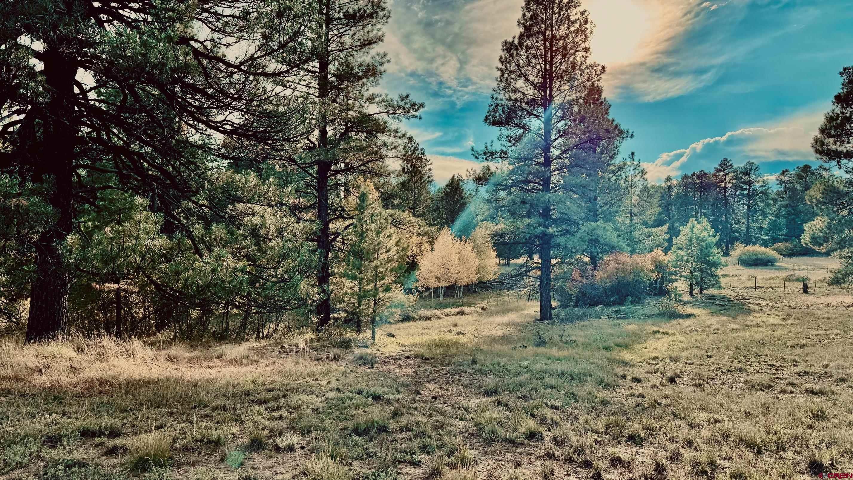 3898 N Pagosa Boulevard