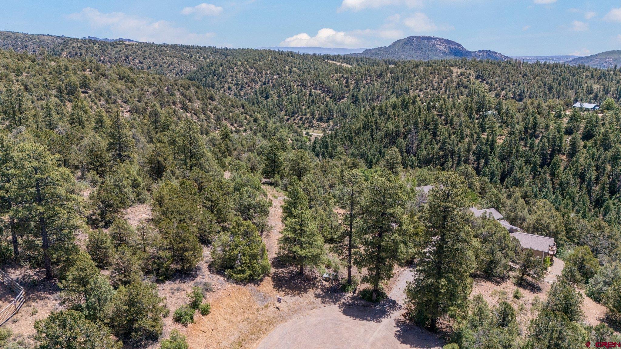 285 Logging Trail