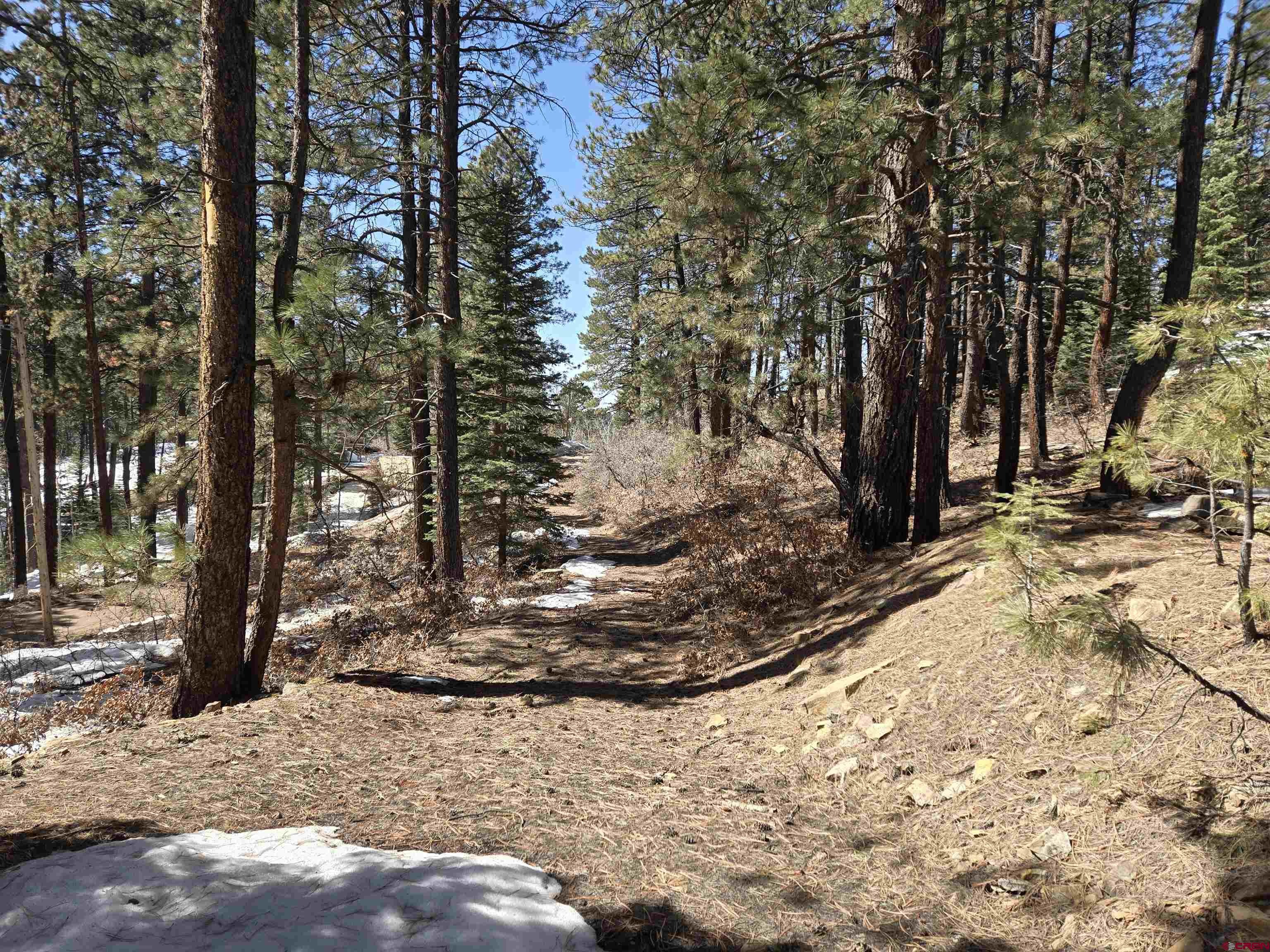 Lot 9 Groves Drive