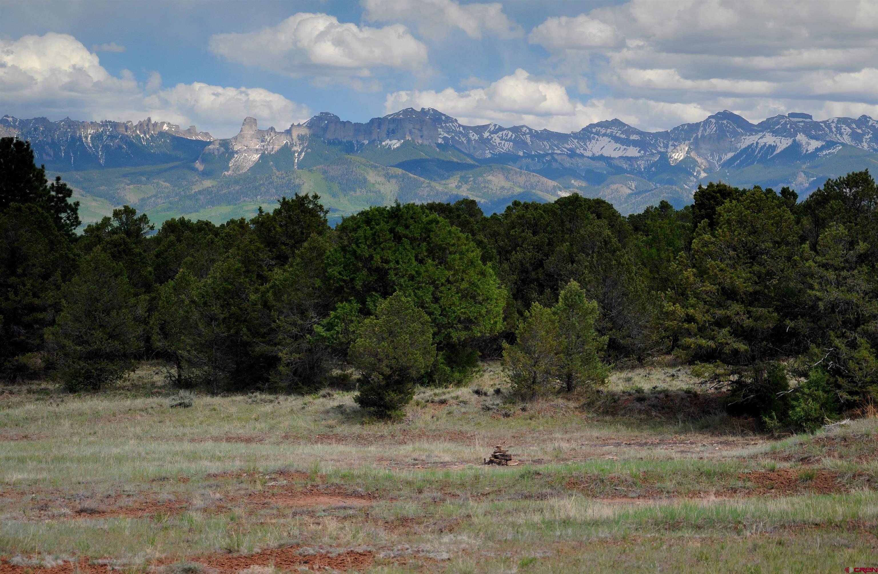 TBD Ponderosa