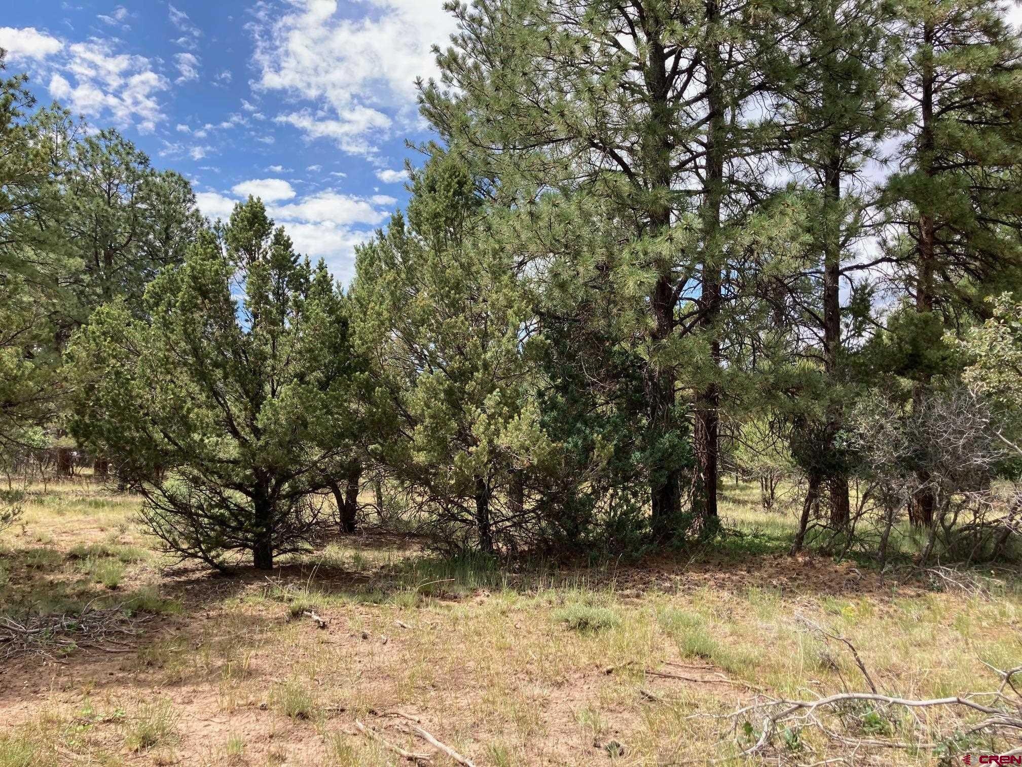 Lot 422 (TBD) South Badger Trail