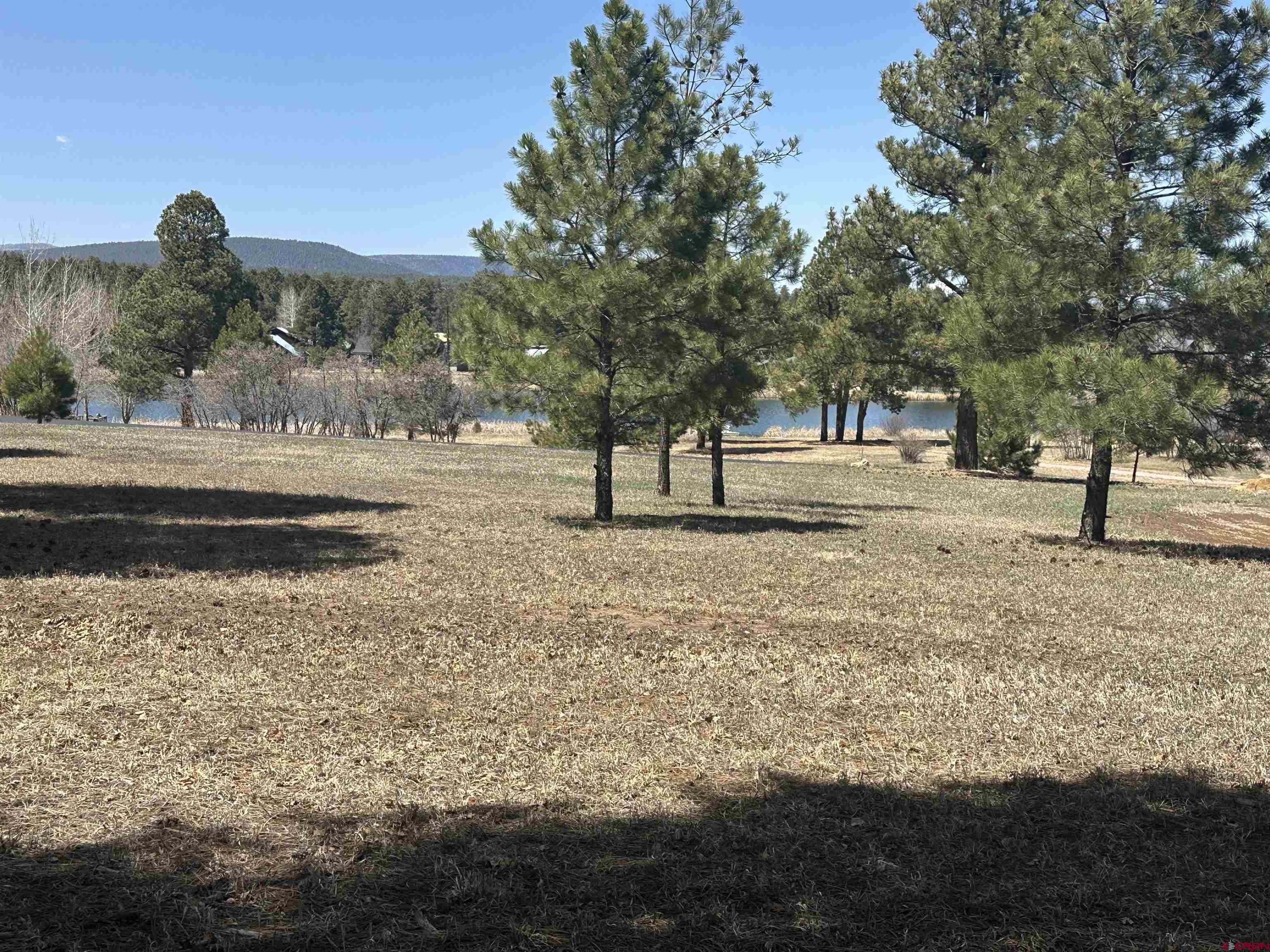 1259 Lakeside