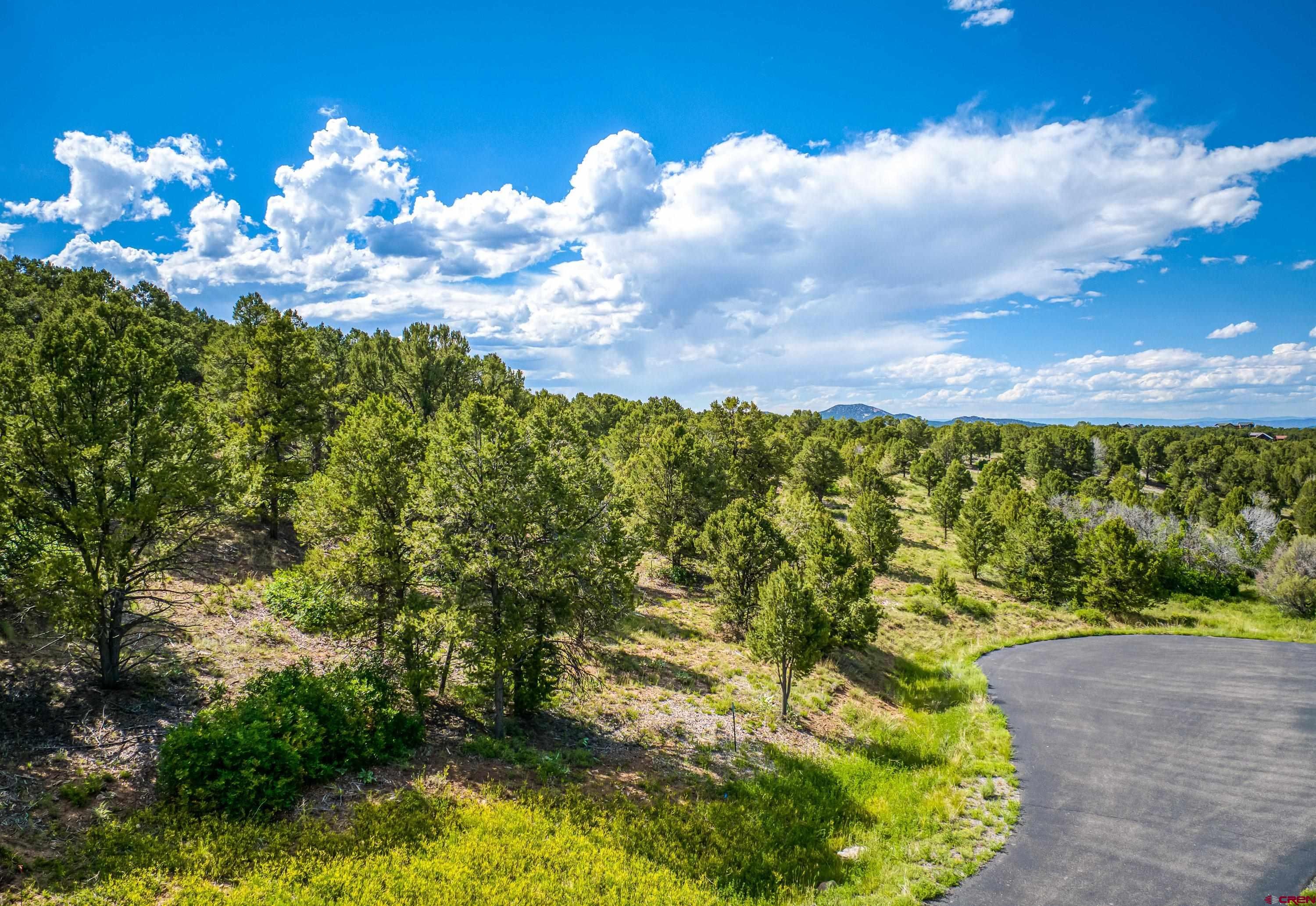 Lot 9 Pointe Escape