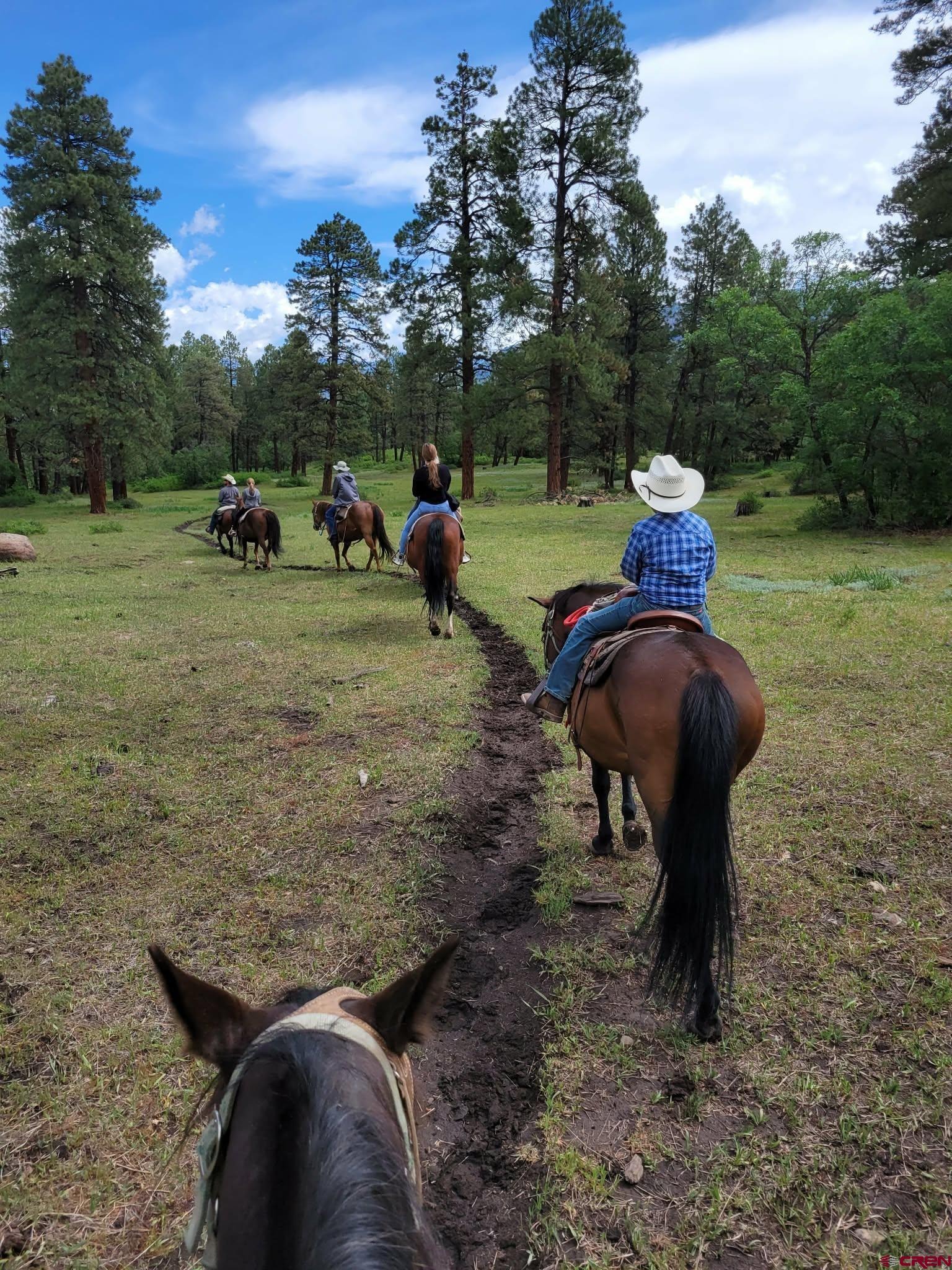 Majestic Outfitters, LLC