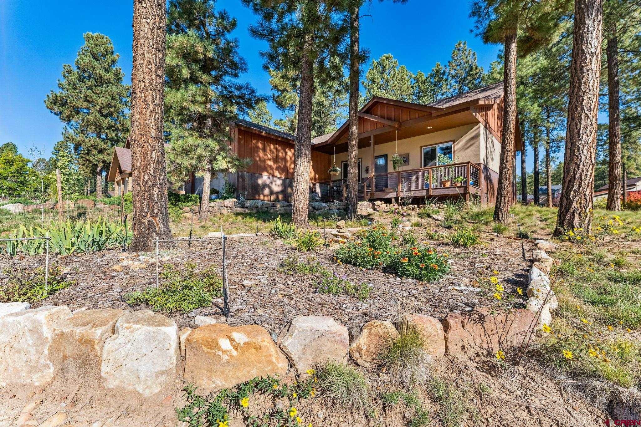 24 Needle Creek