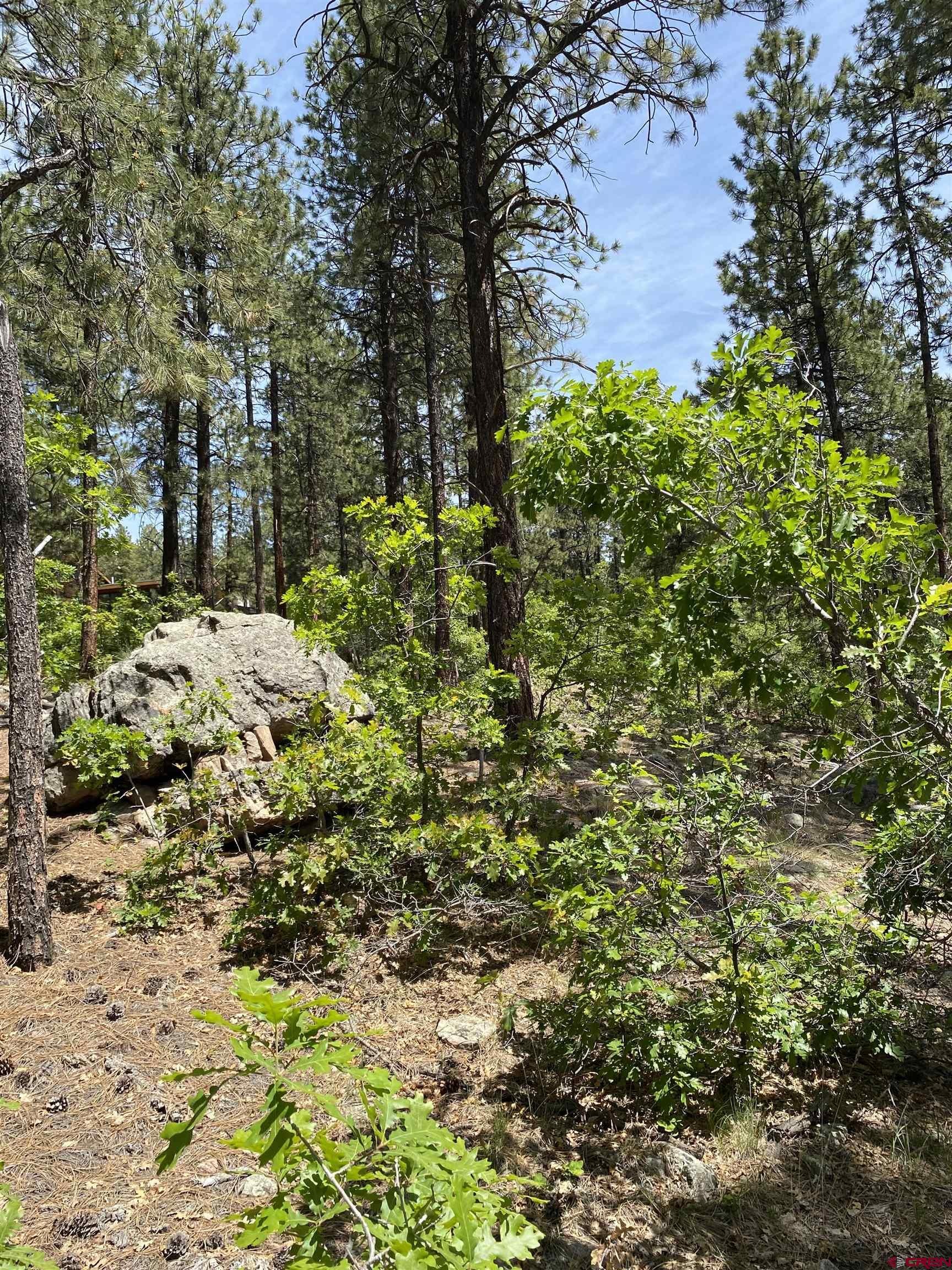 163 Boulder View