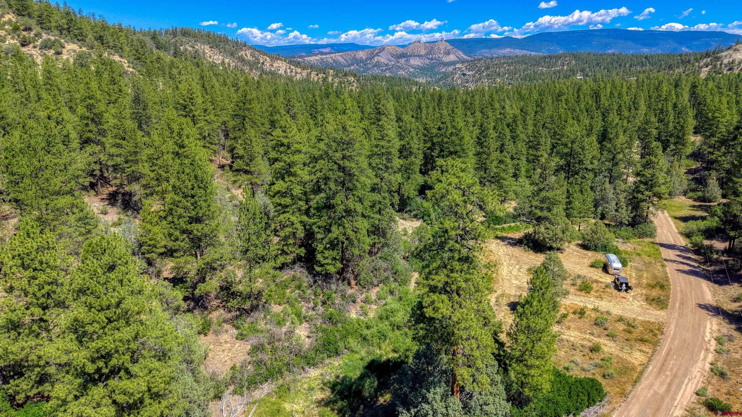 1859 County Road 917