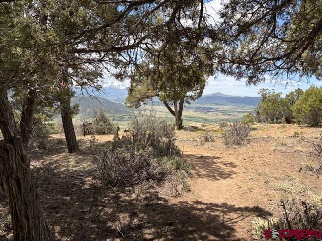 Lot 4 Pine