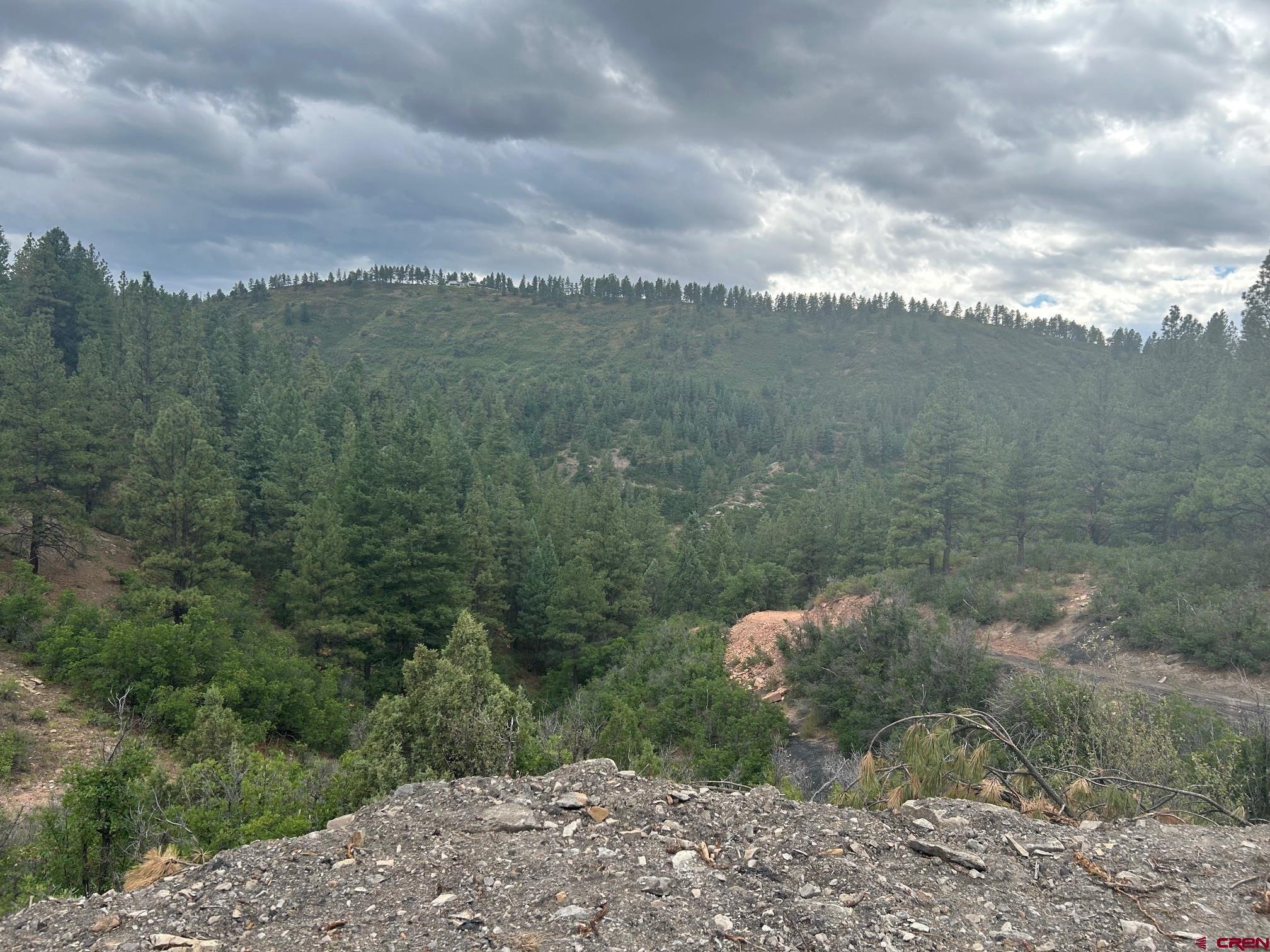 17235 Hwy 160