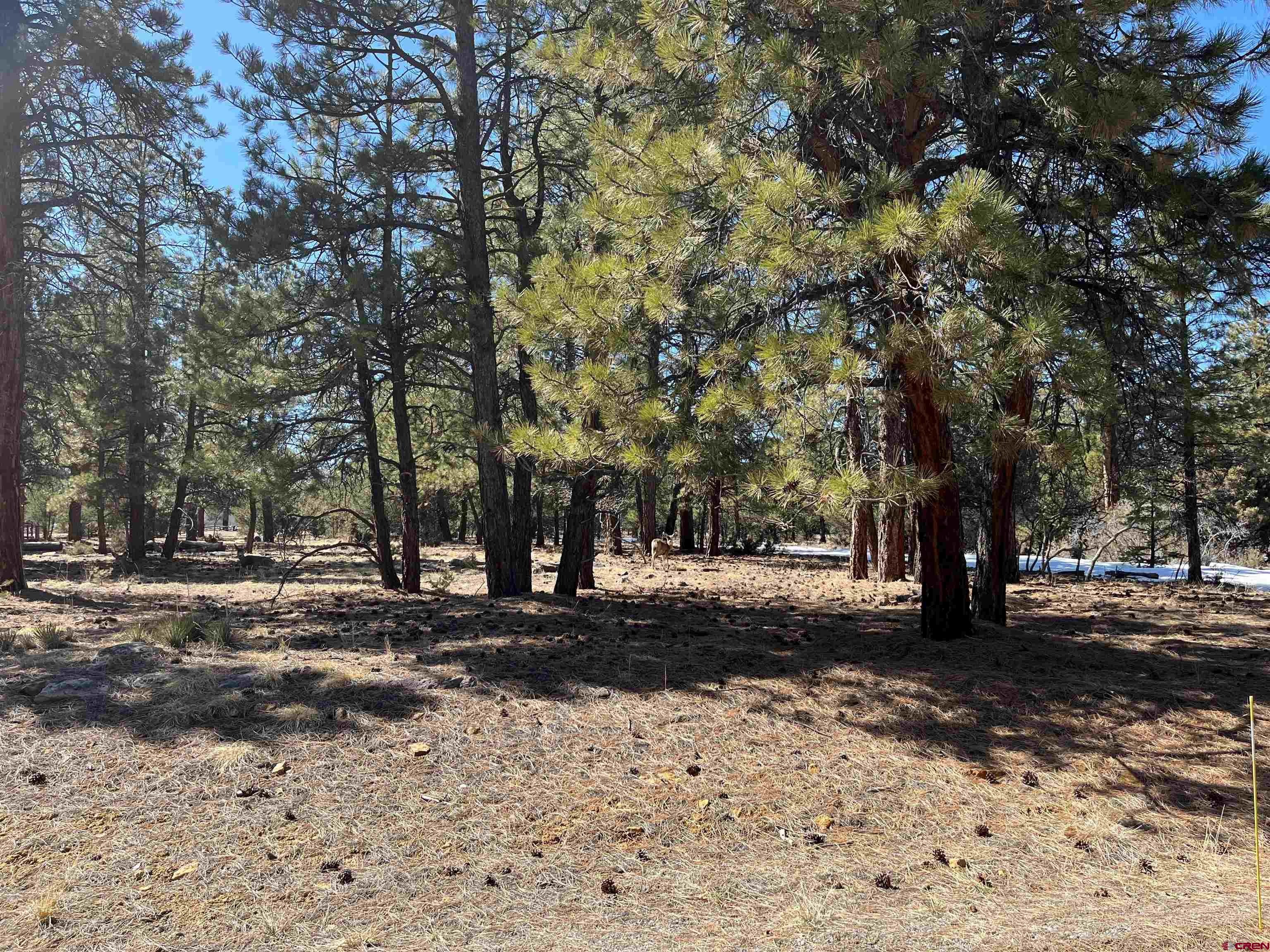 TBD Badger Trail South