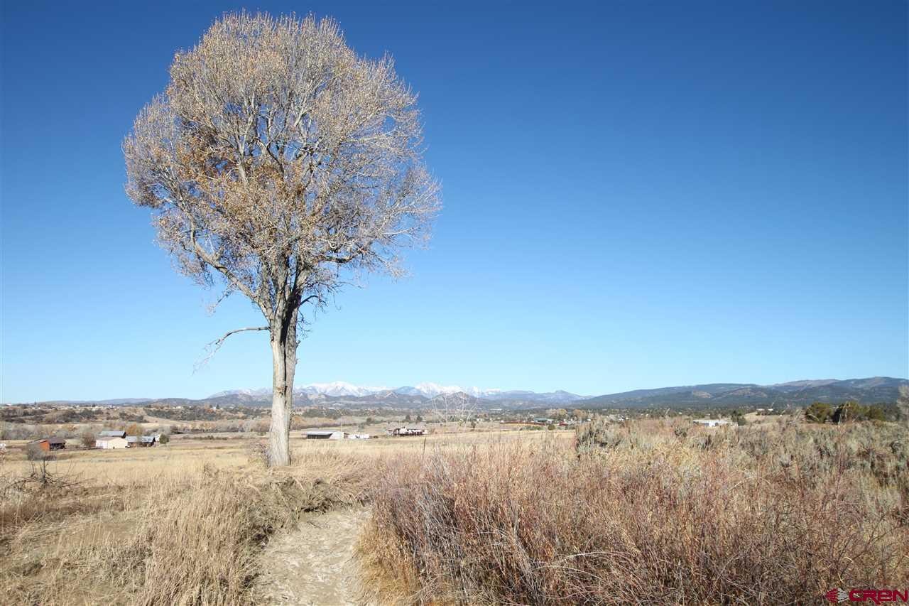 TBD County Road 510