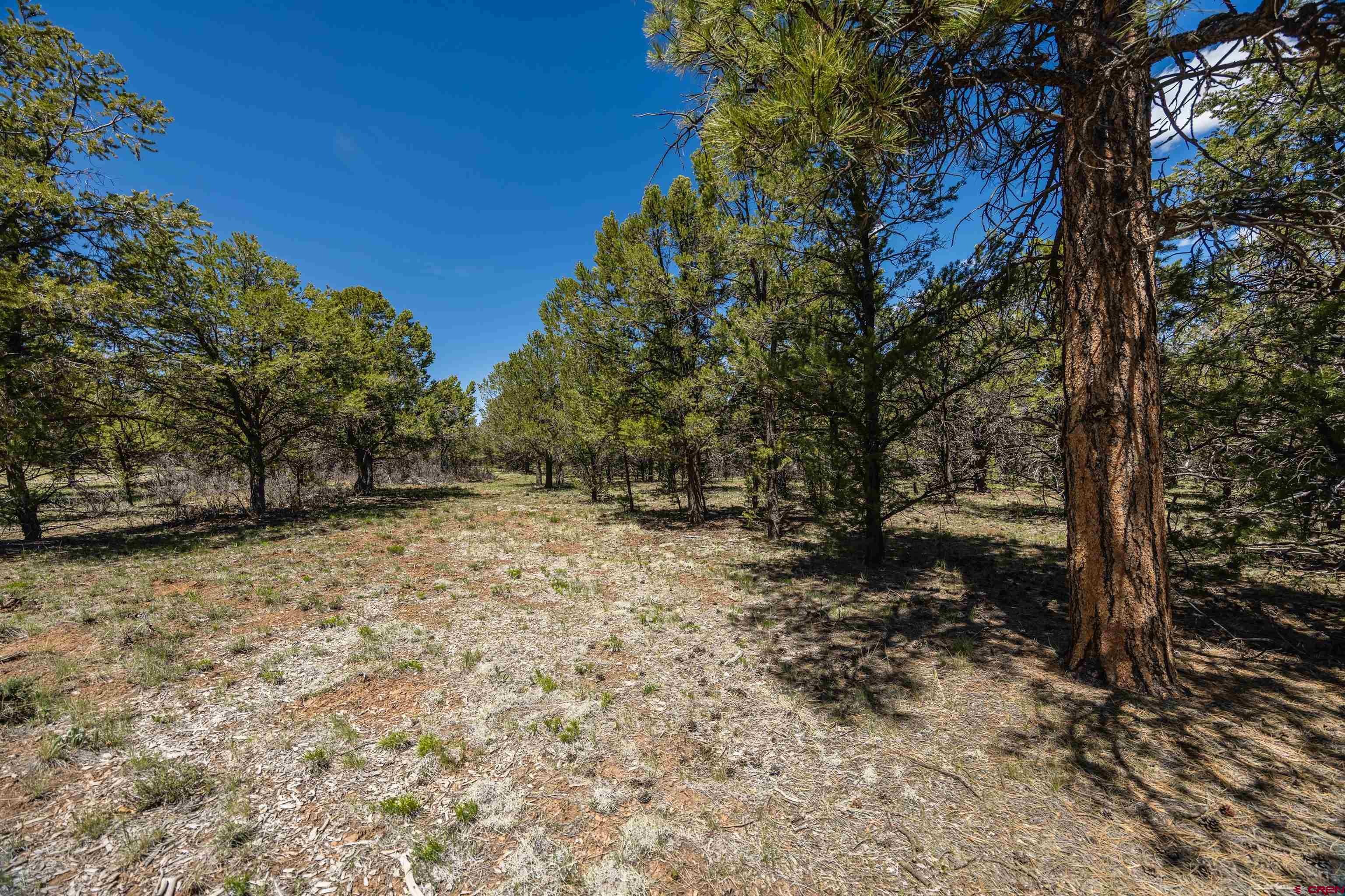 Lot 6 Waterview