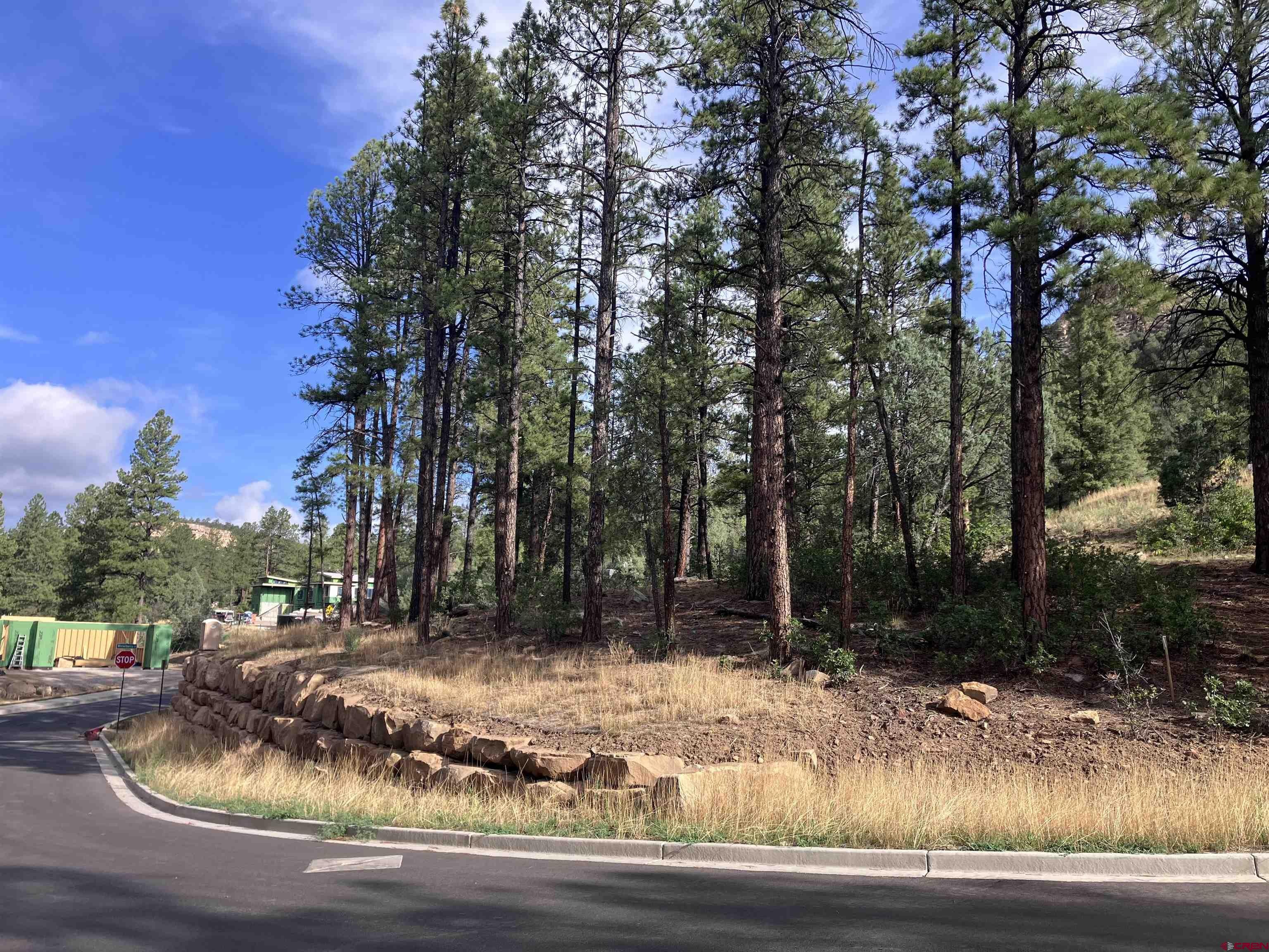 53 Snowdrop Ct. (Lot 140)