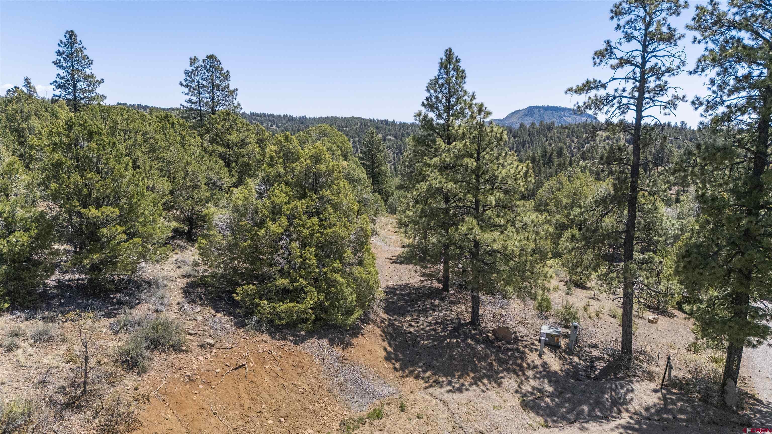 275 Logging Trail
