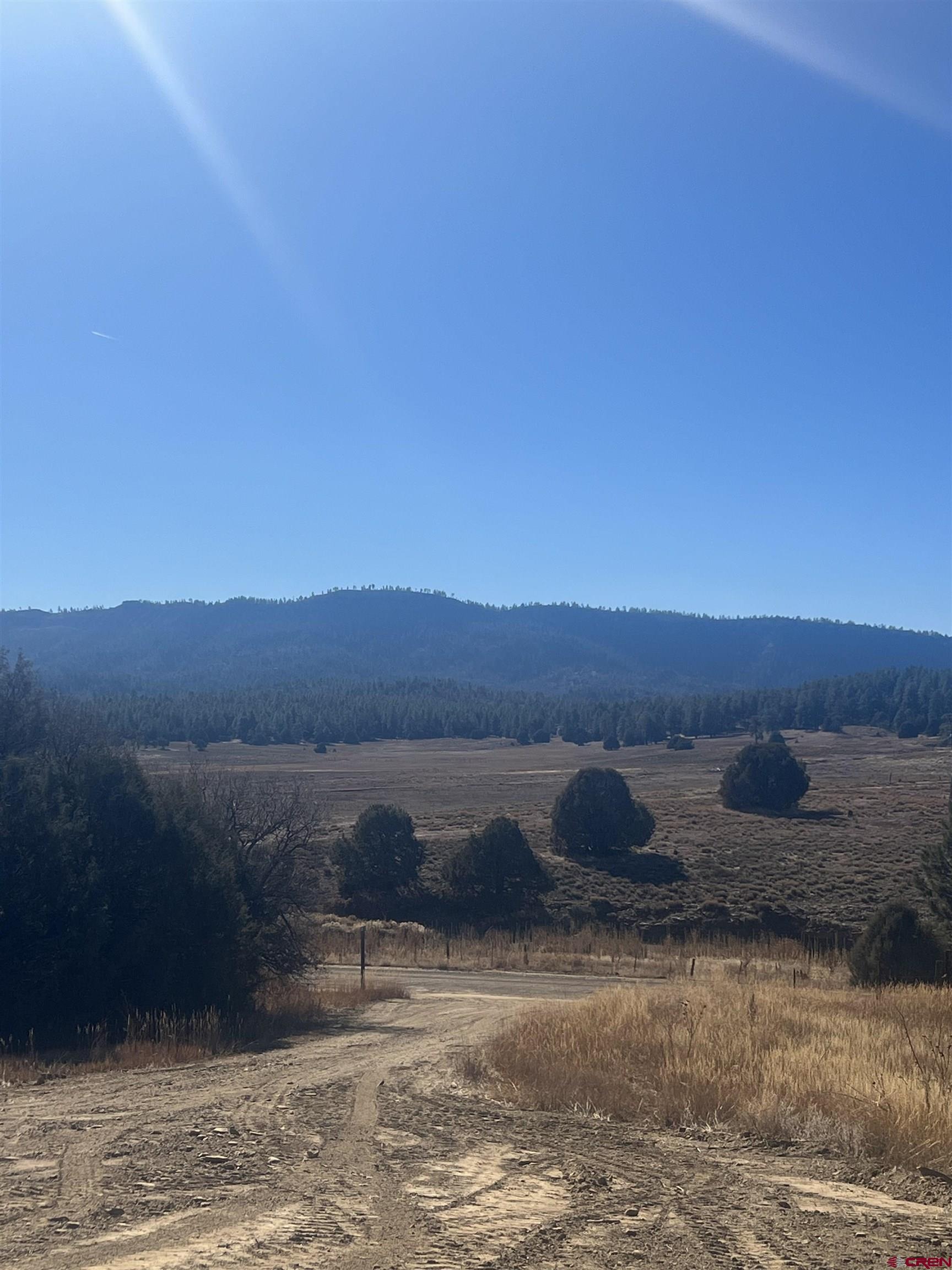 3924 County Road 700